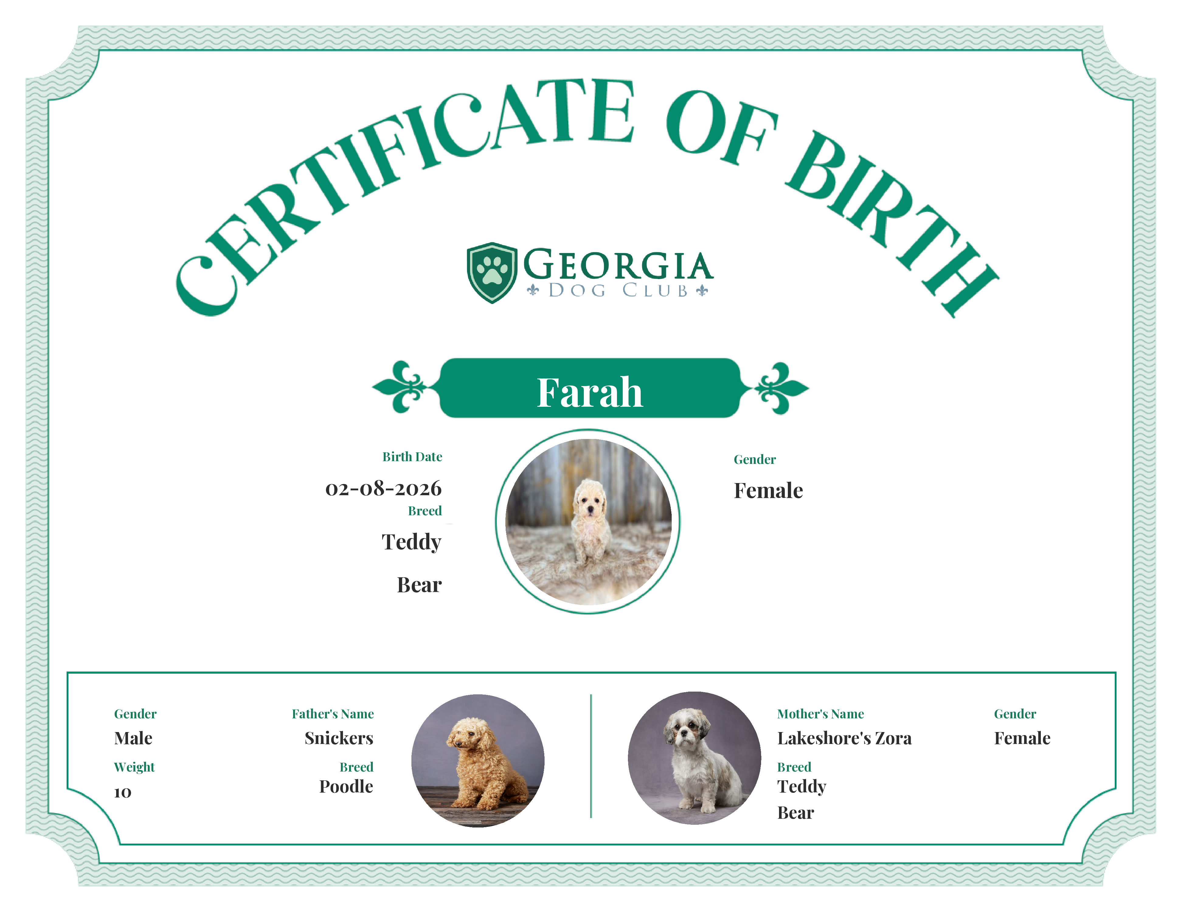 Farah's Birth Certificate