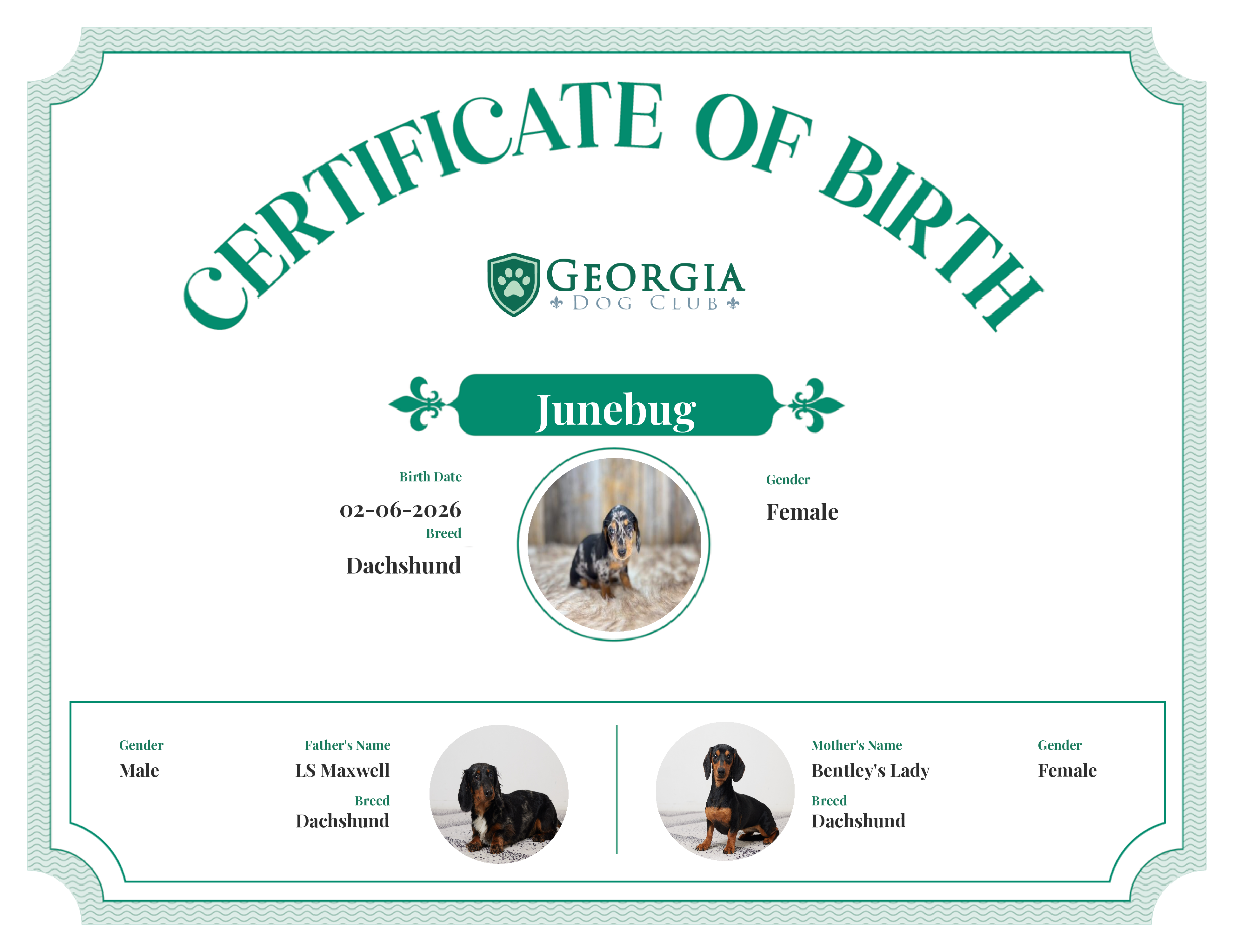 Junebug's Birth Certificate