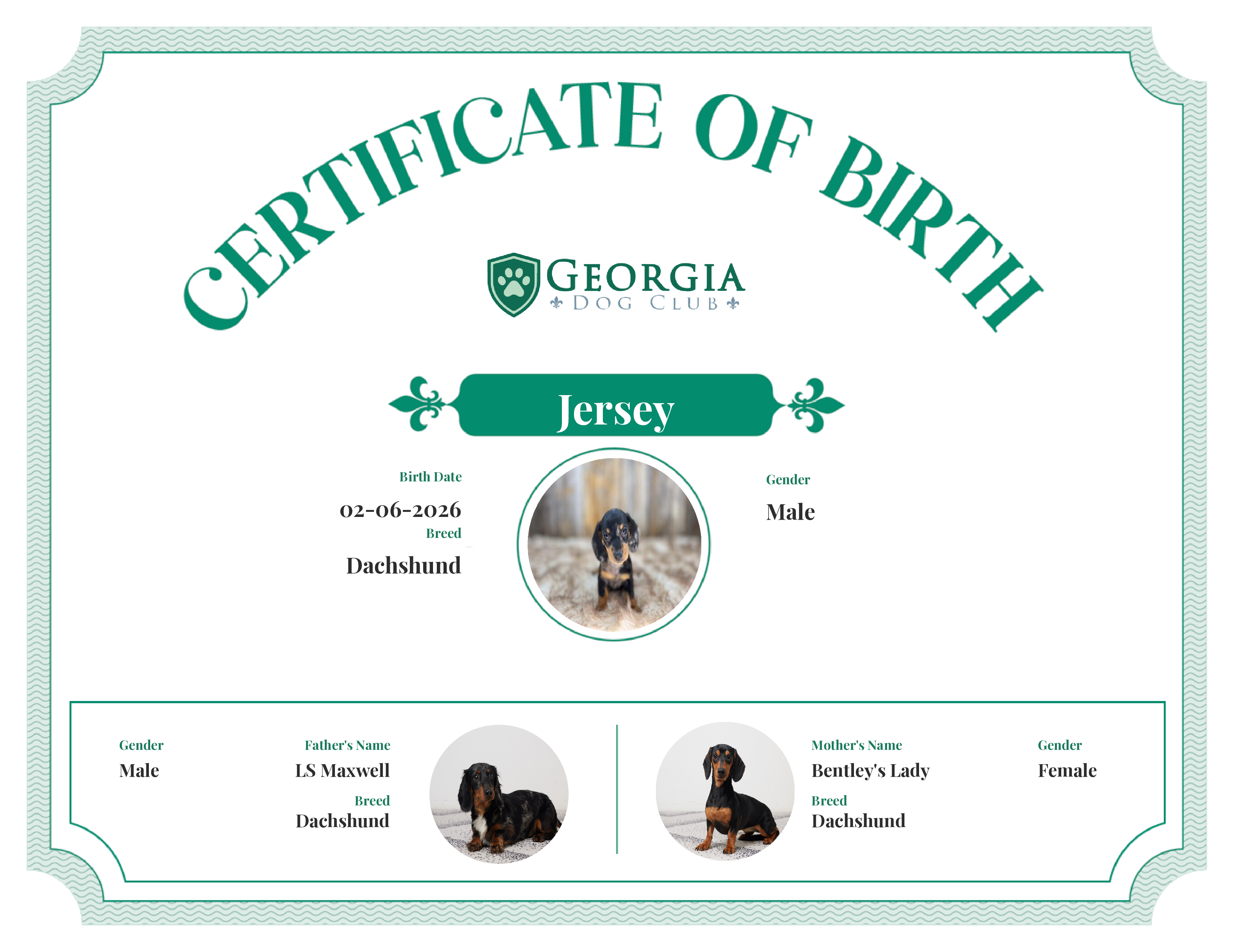 Jersey's Birth Certificate