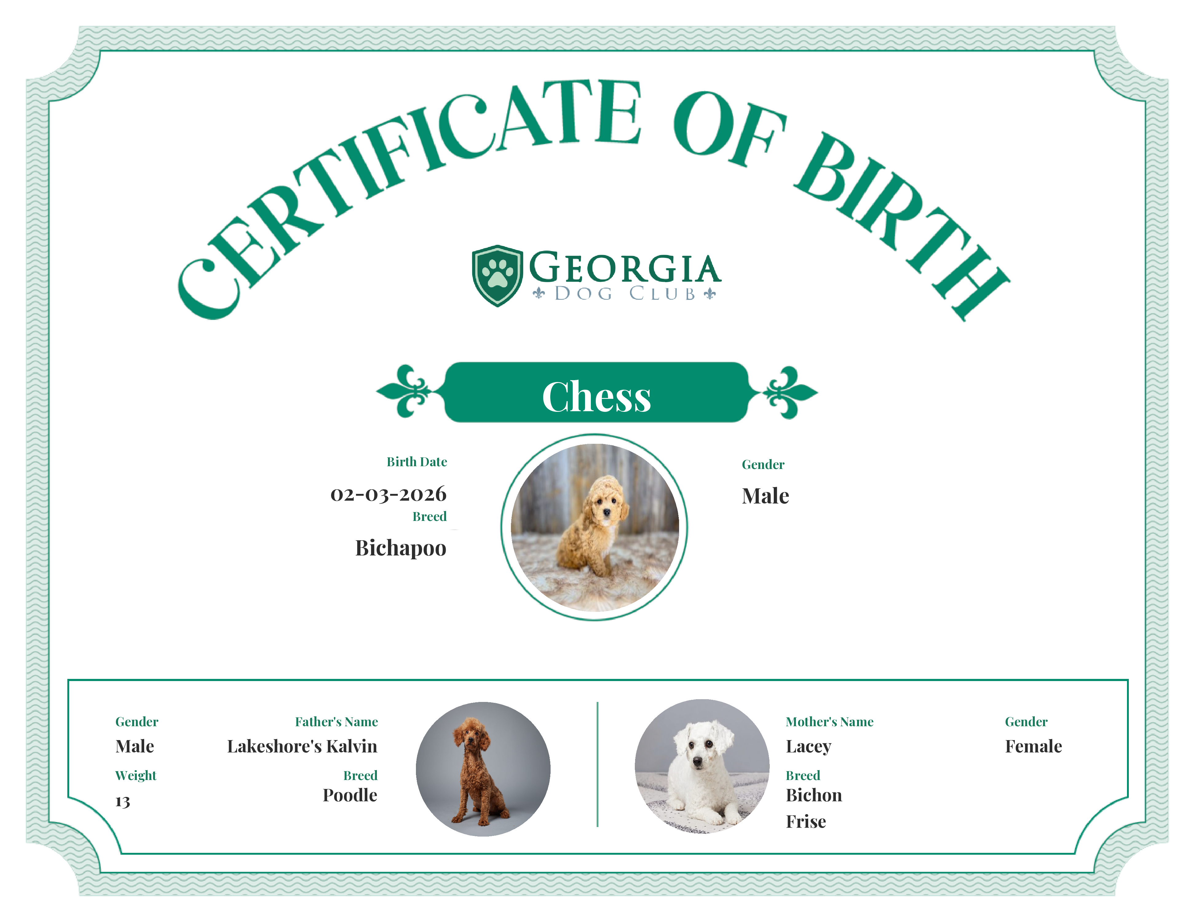 Chess's Birth Certificate