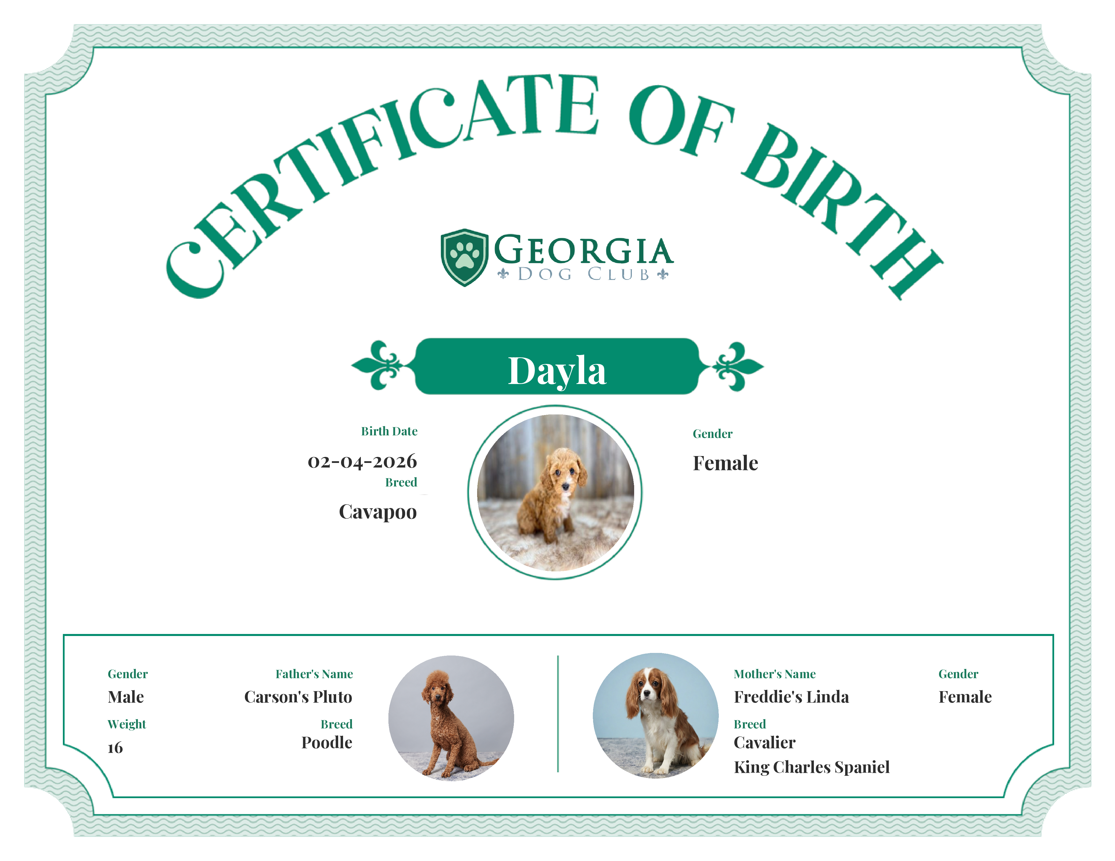 Dayla's Birth Certificate