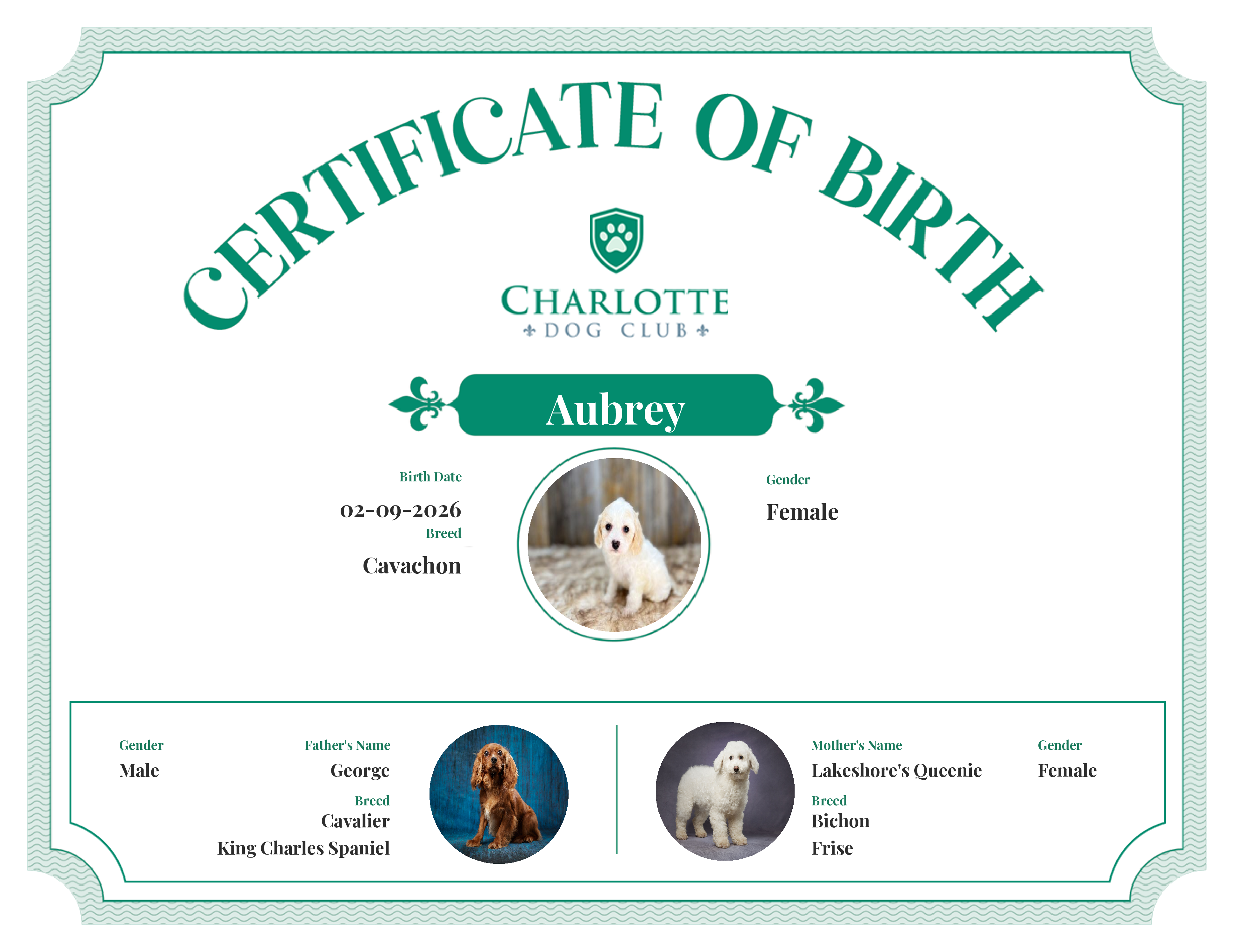 Aubrey's Birth Certificate