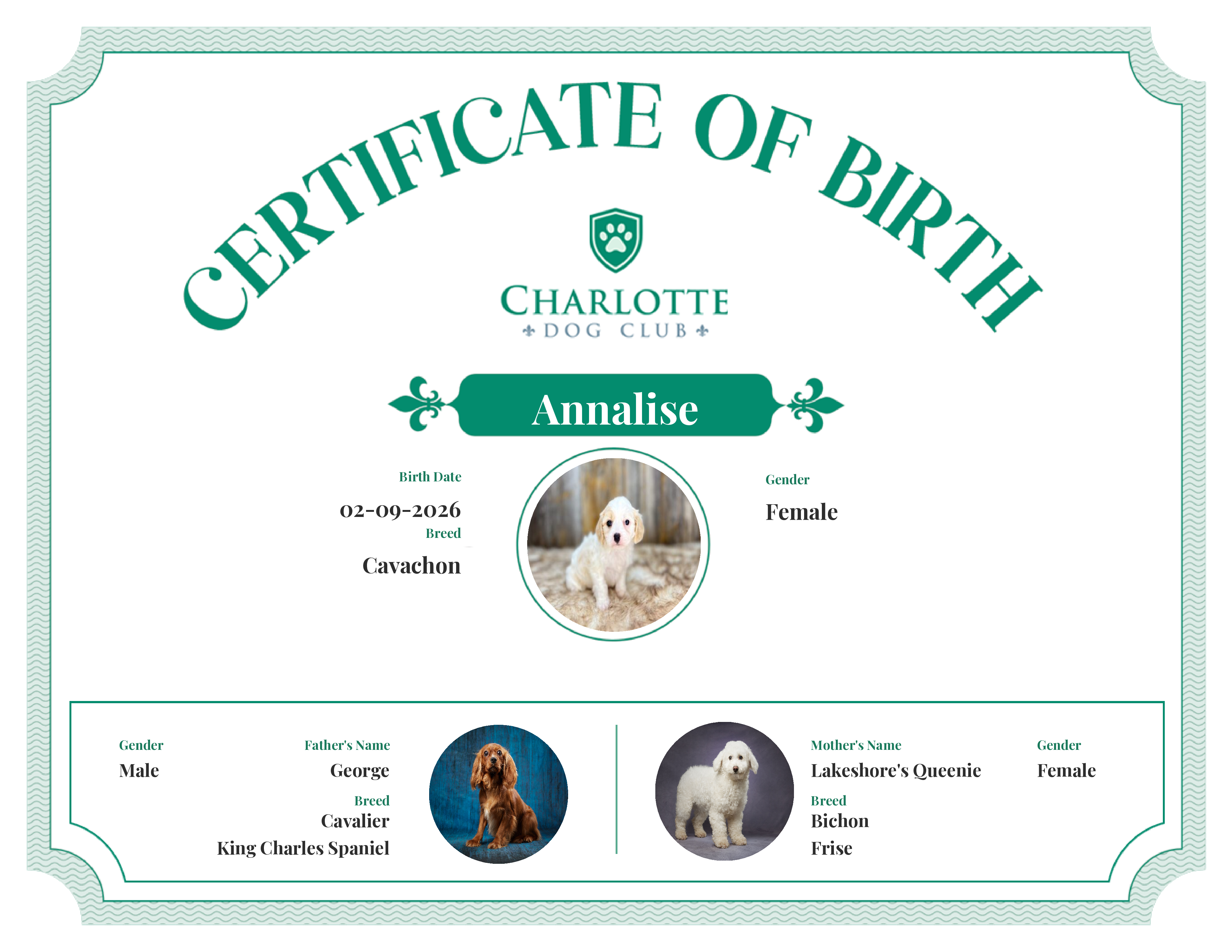 Annalise's Birth Certificate