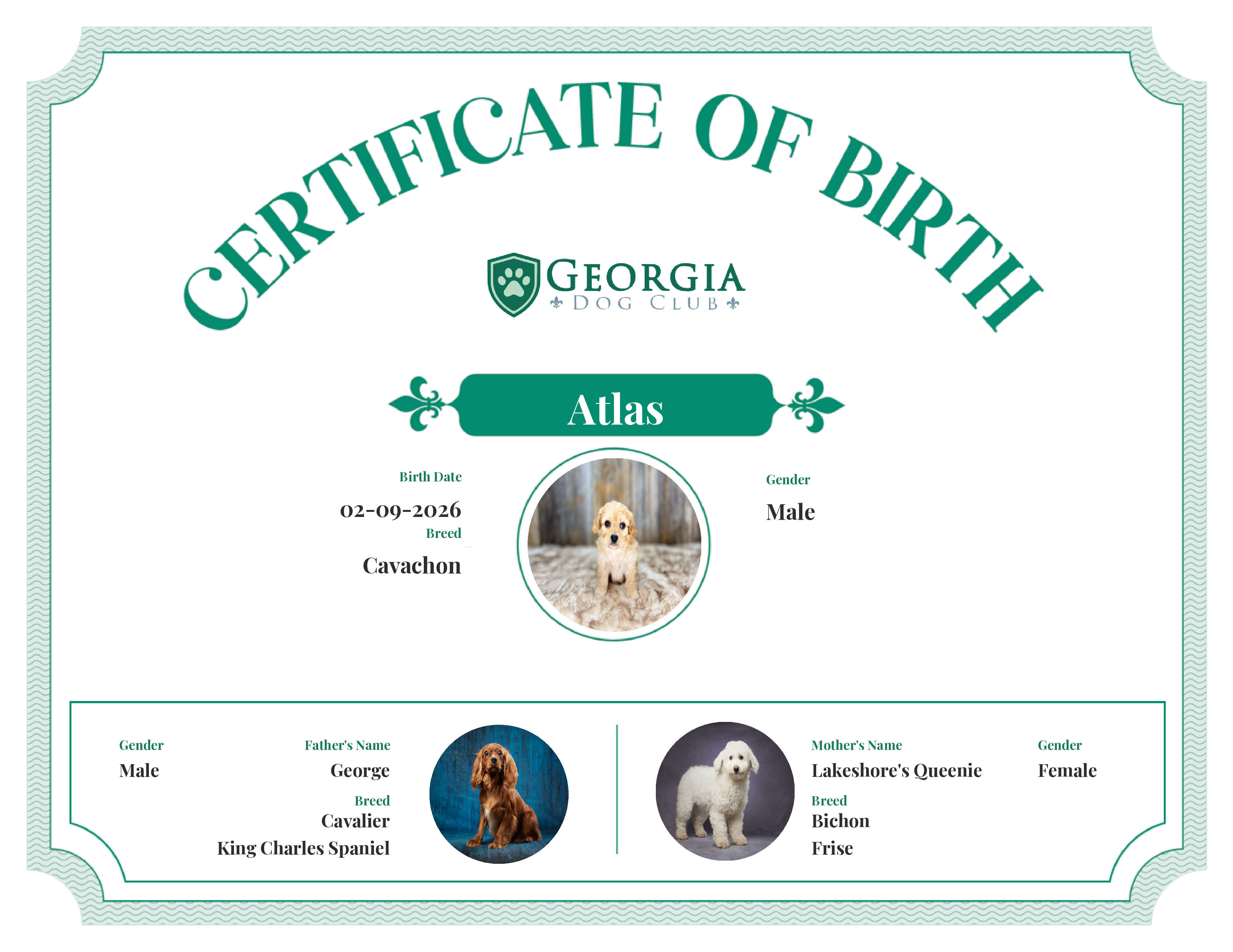 Atlas's Birth Certificate