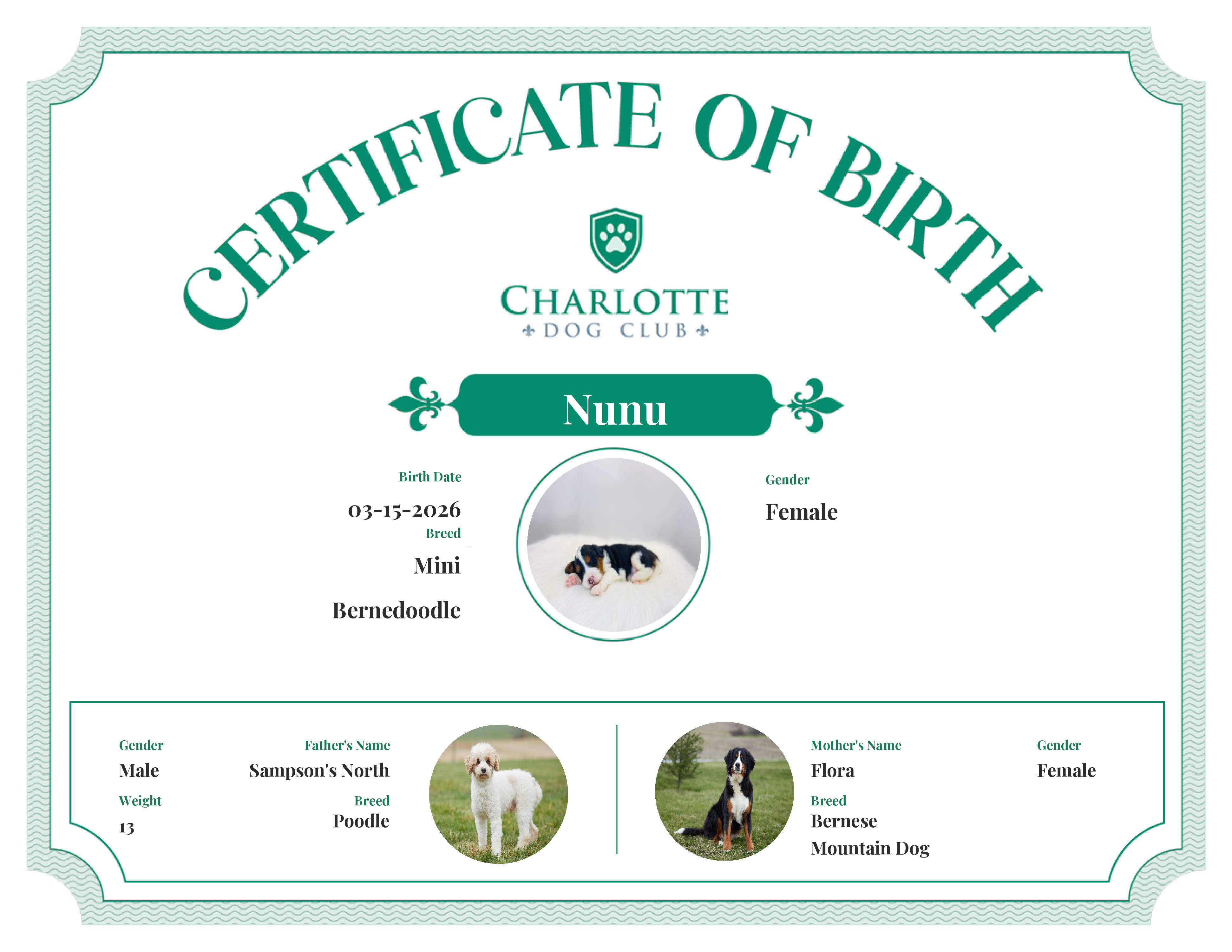 Nunu's Birth Certificate