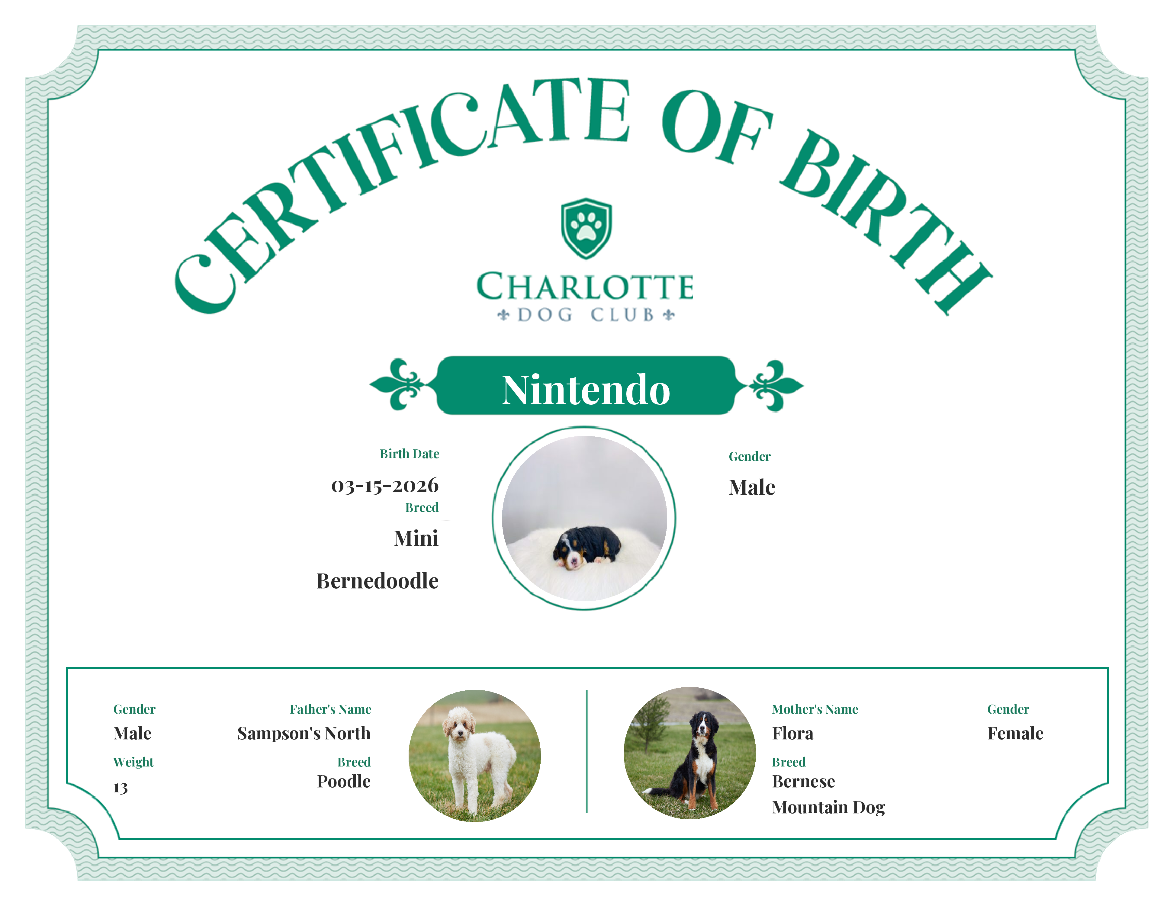 Nintendo's Birth Certificate