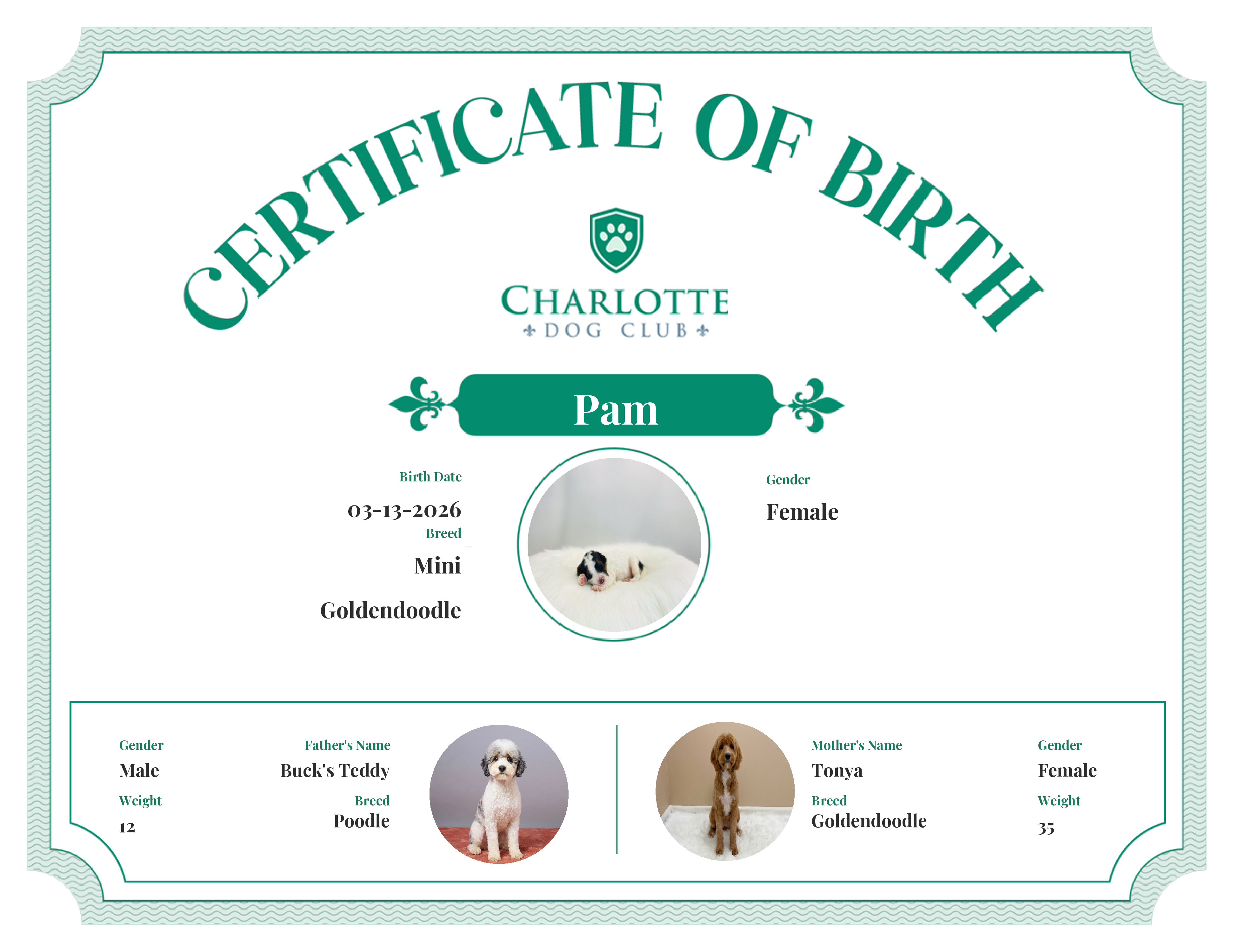 Pam's Birth Certificate