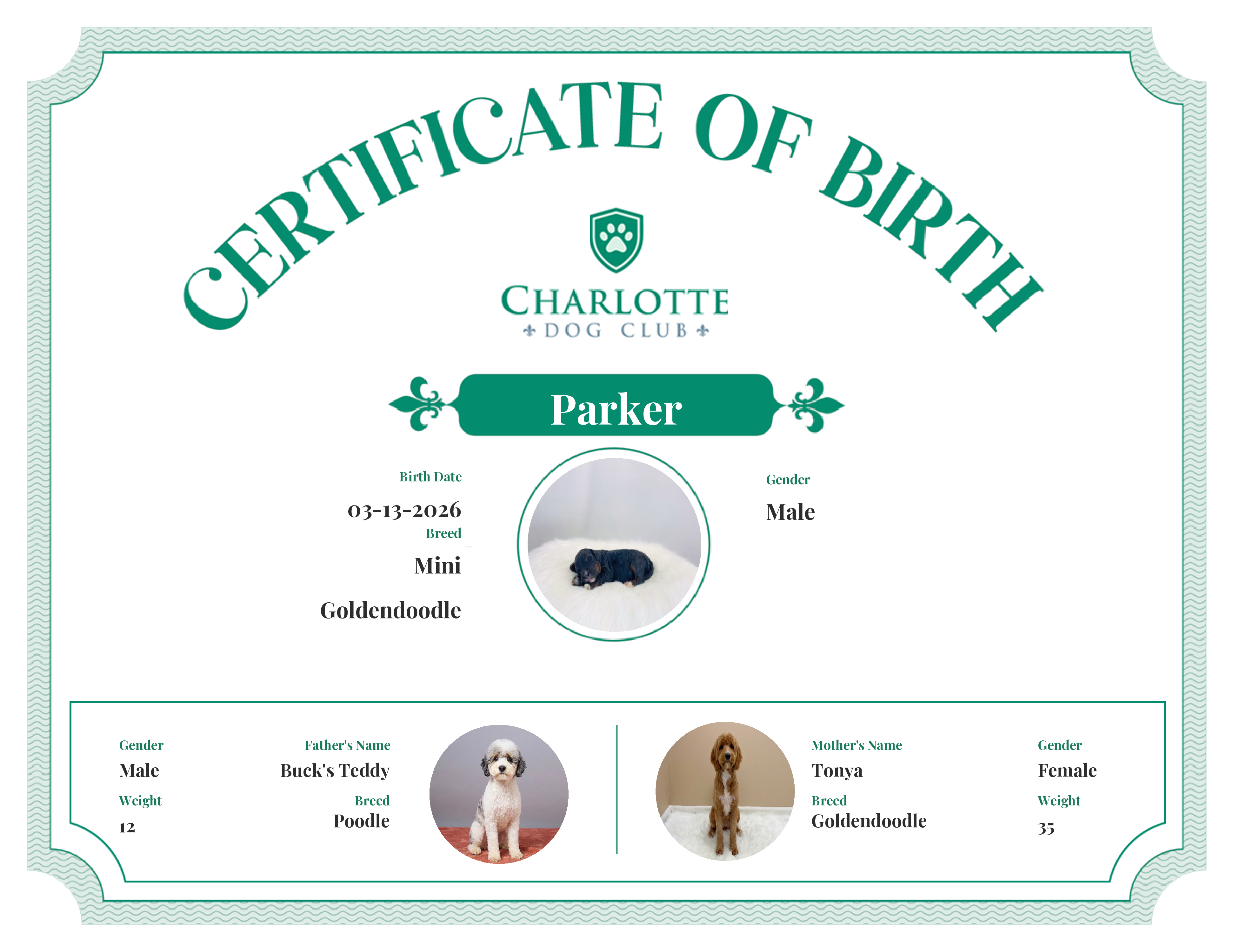 Parker's Birth Certificate