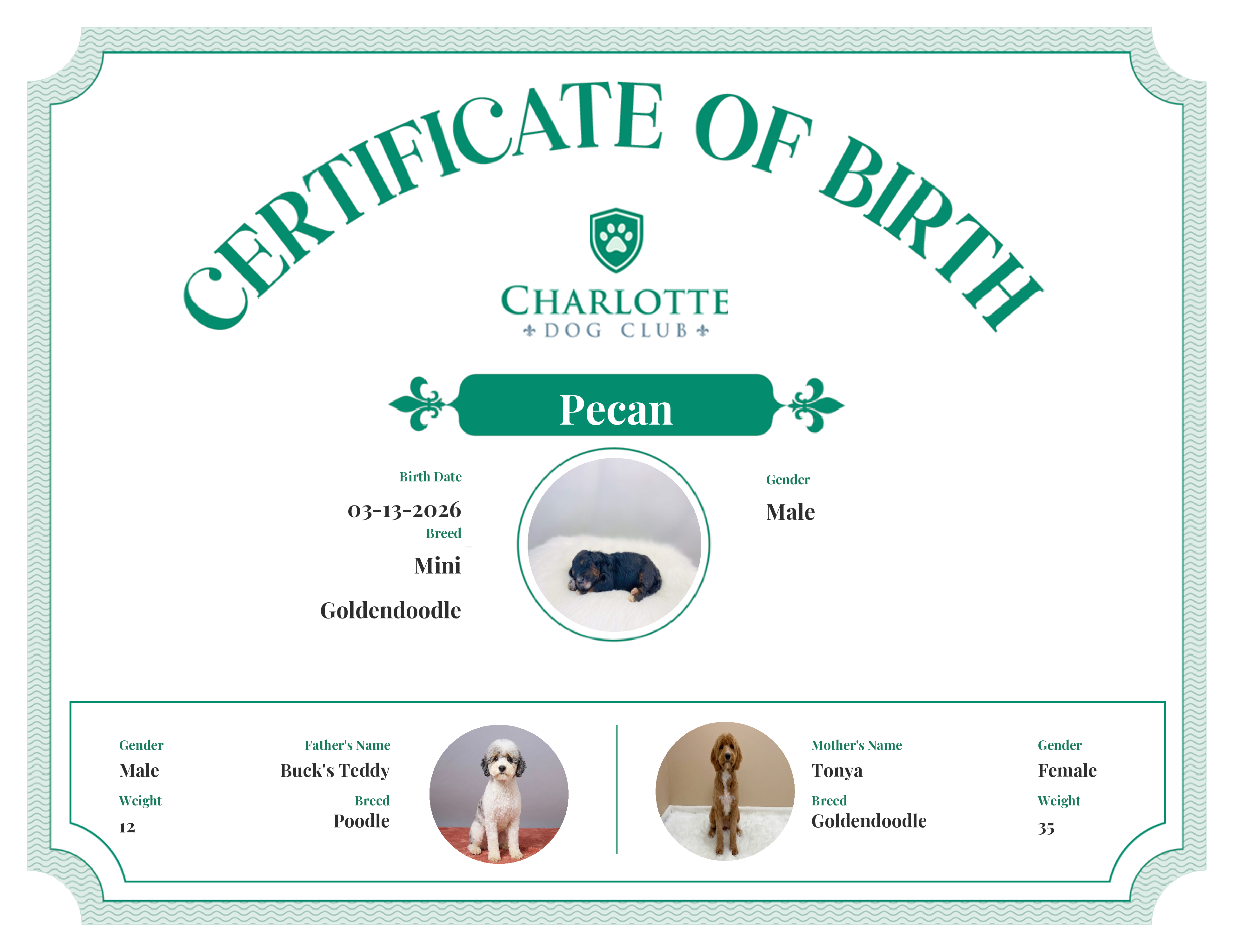 Pecan's Birth Certificate