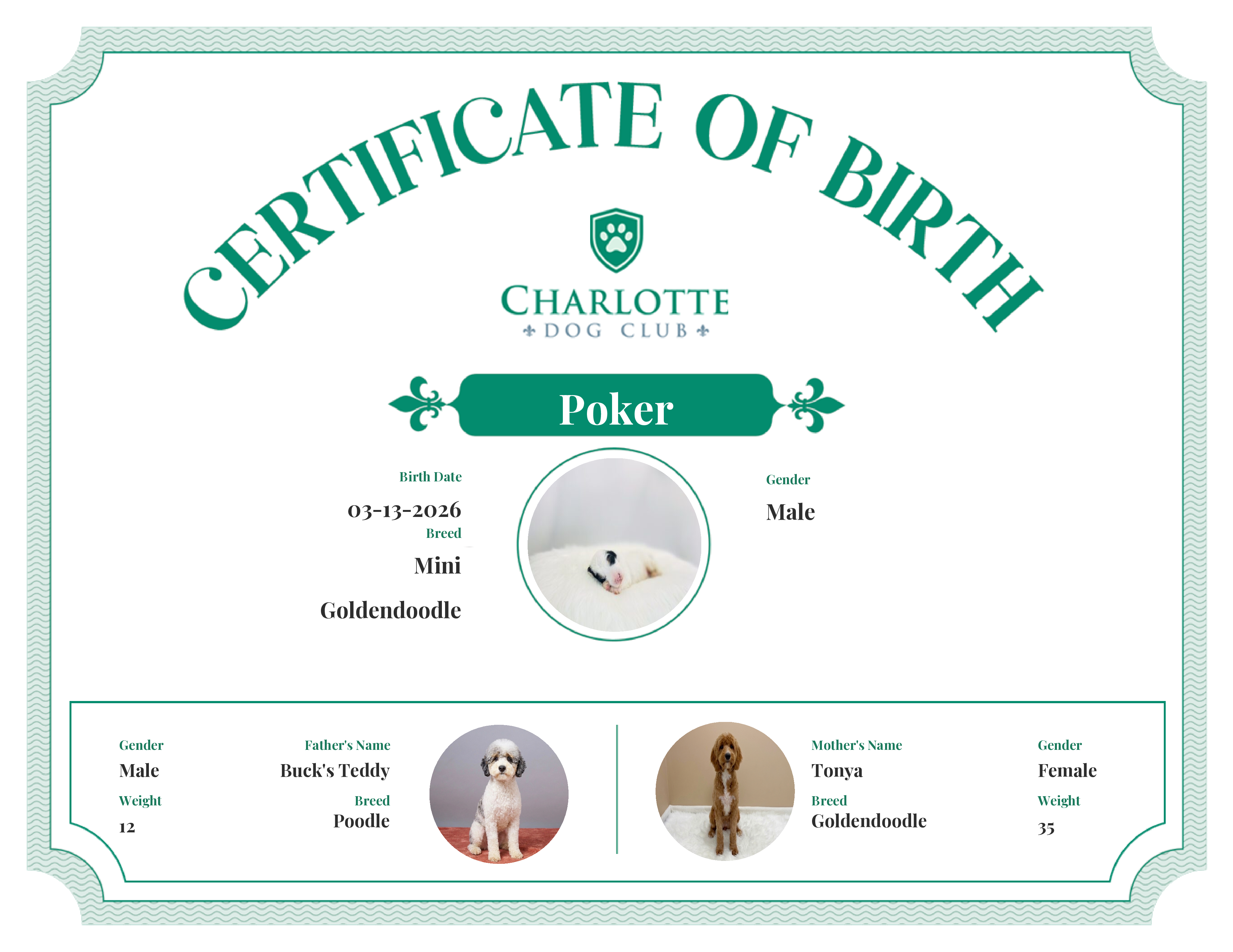 Poker's Birth Certificate