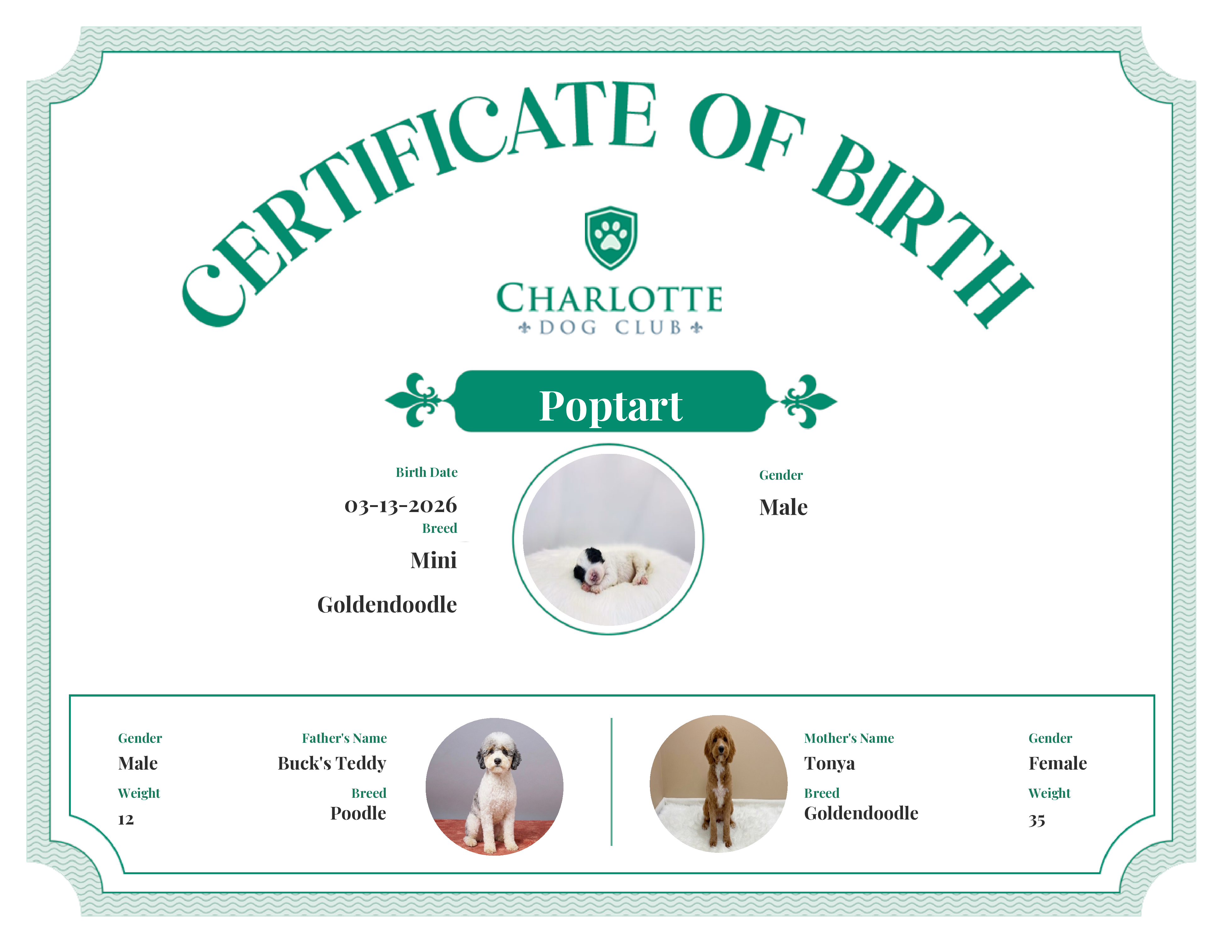 Poptart's Birth Certificate