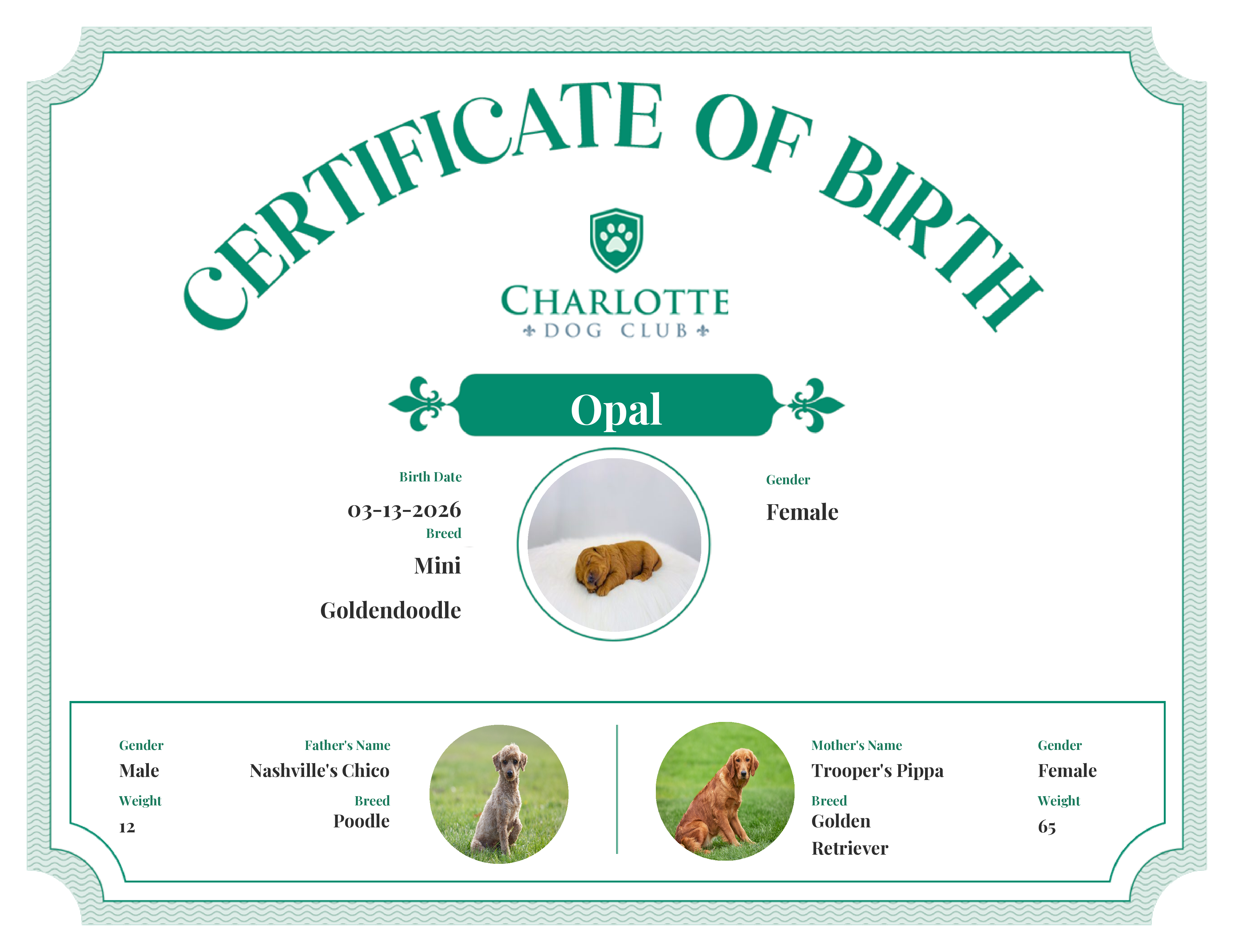 Opal's Birth Certificate