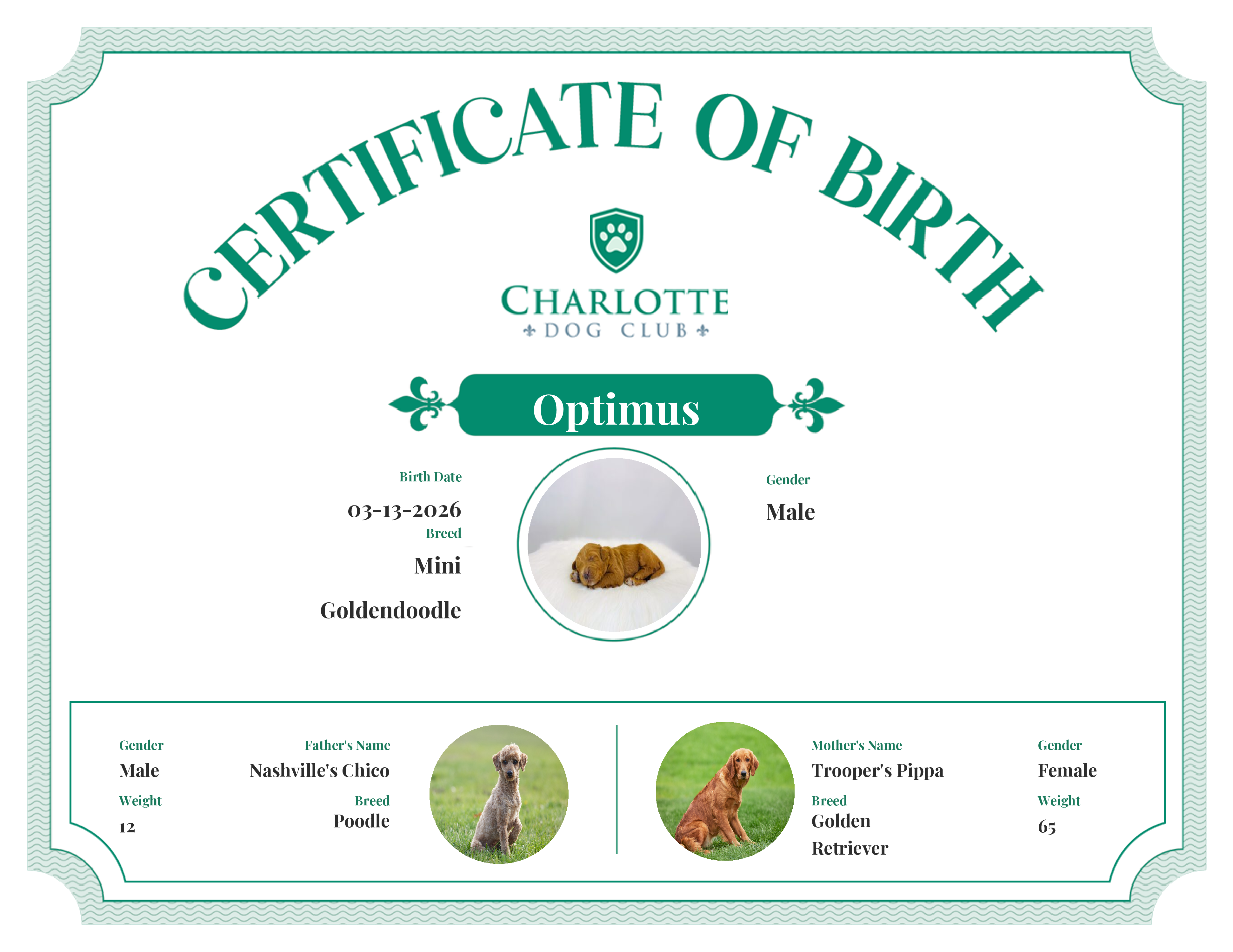 Optimus's Birth Certificate