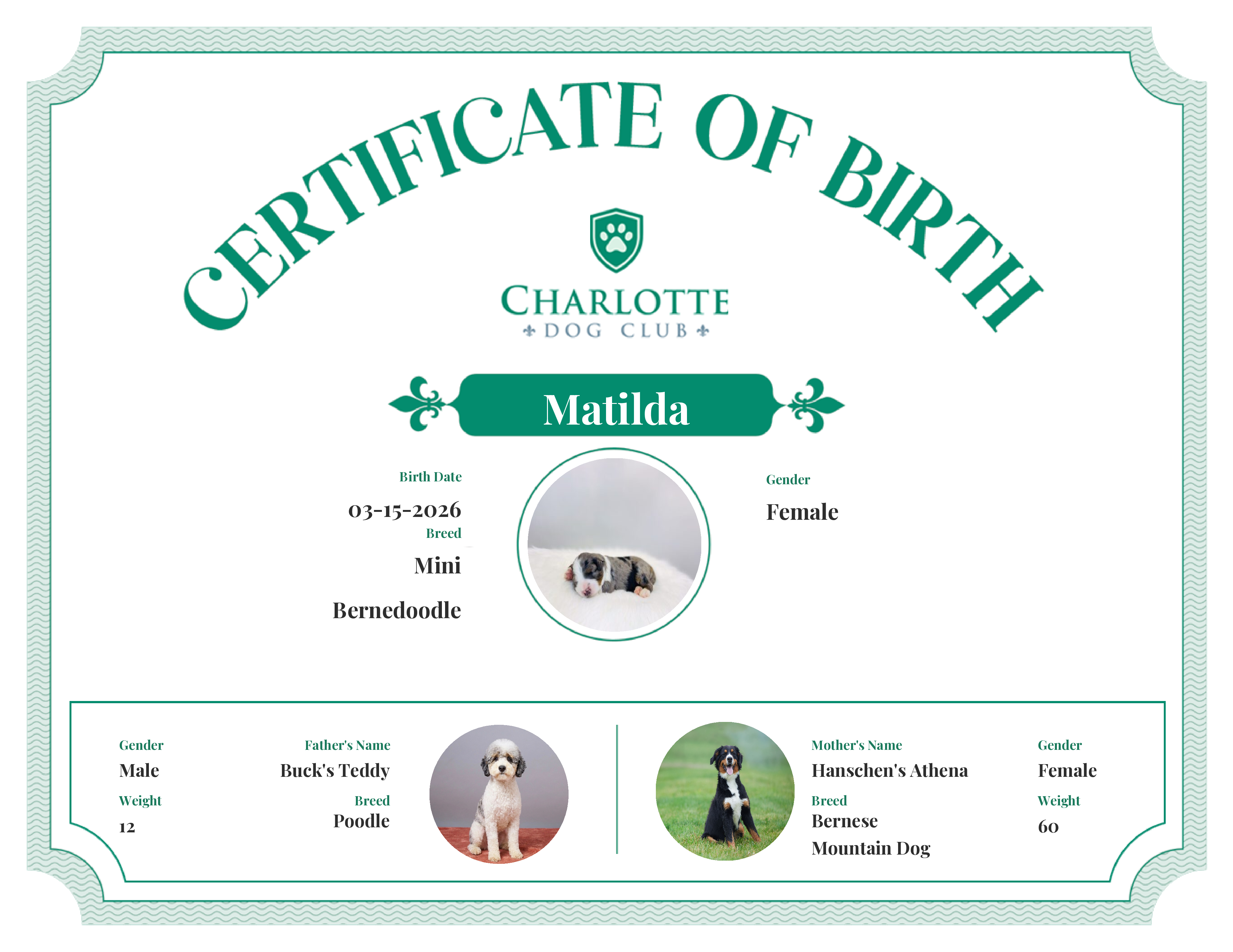 Matilda's Birth Certificate