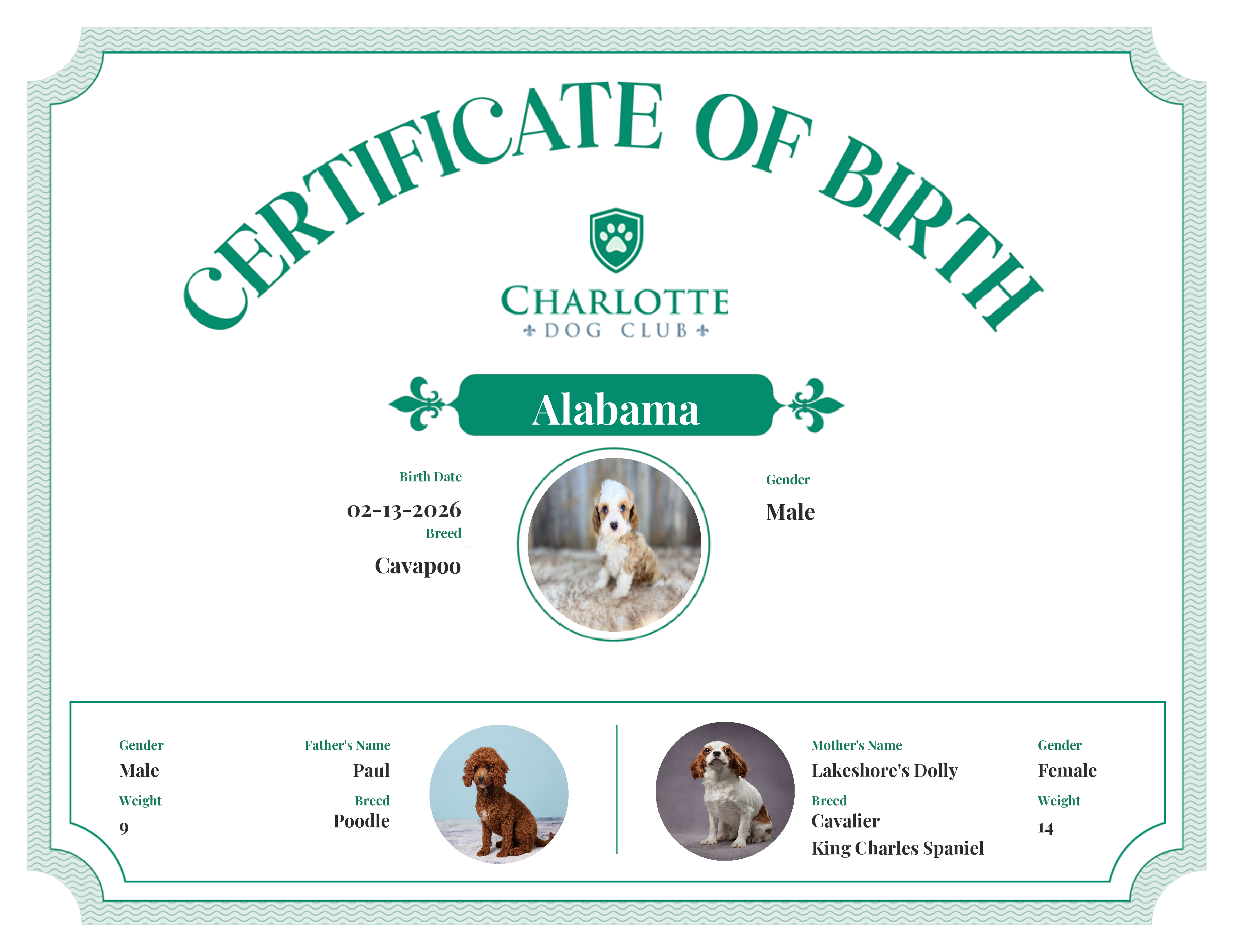 Alabama's Birth Certificate