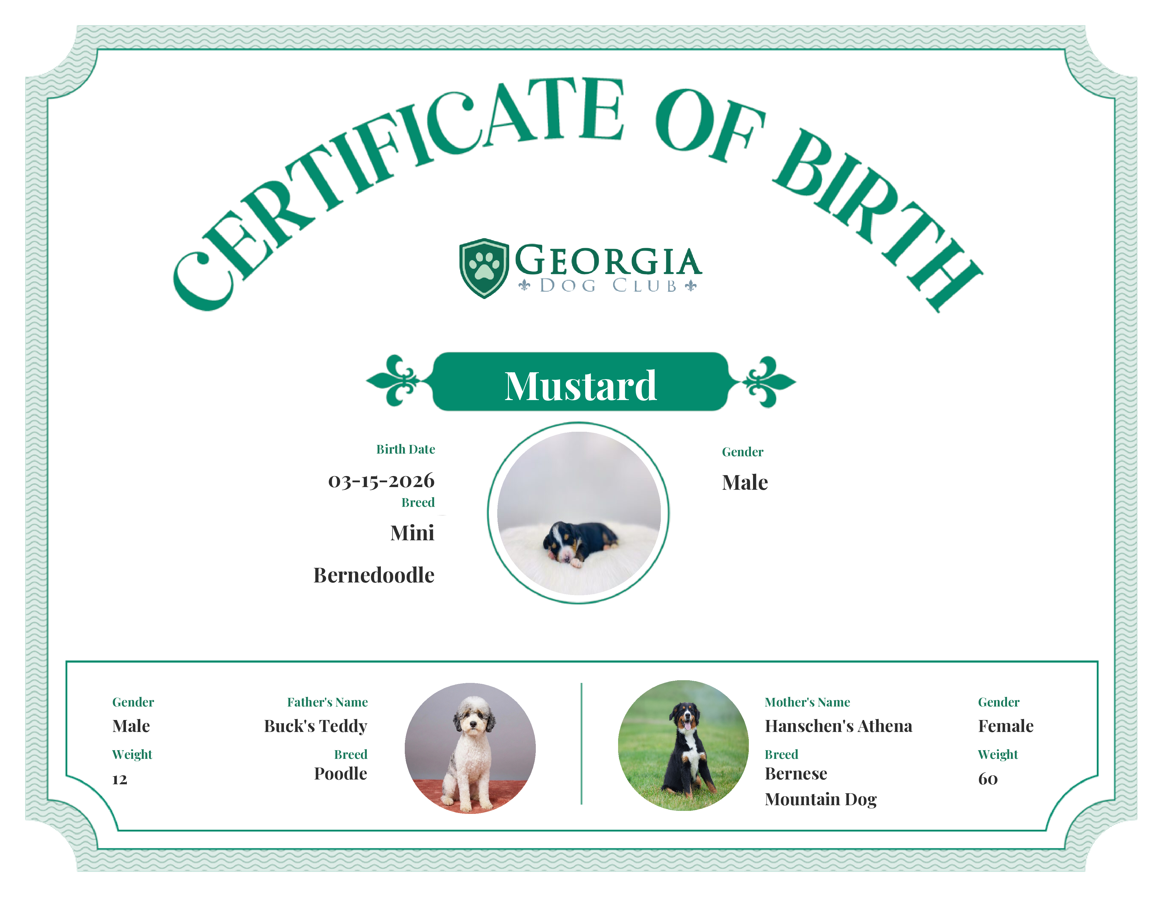 Mustard's Birth Certificate