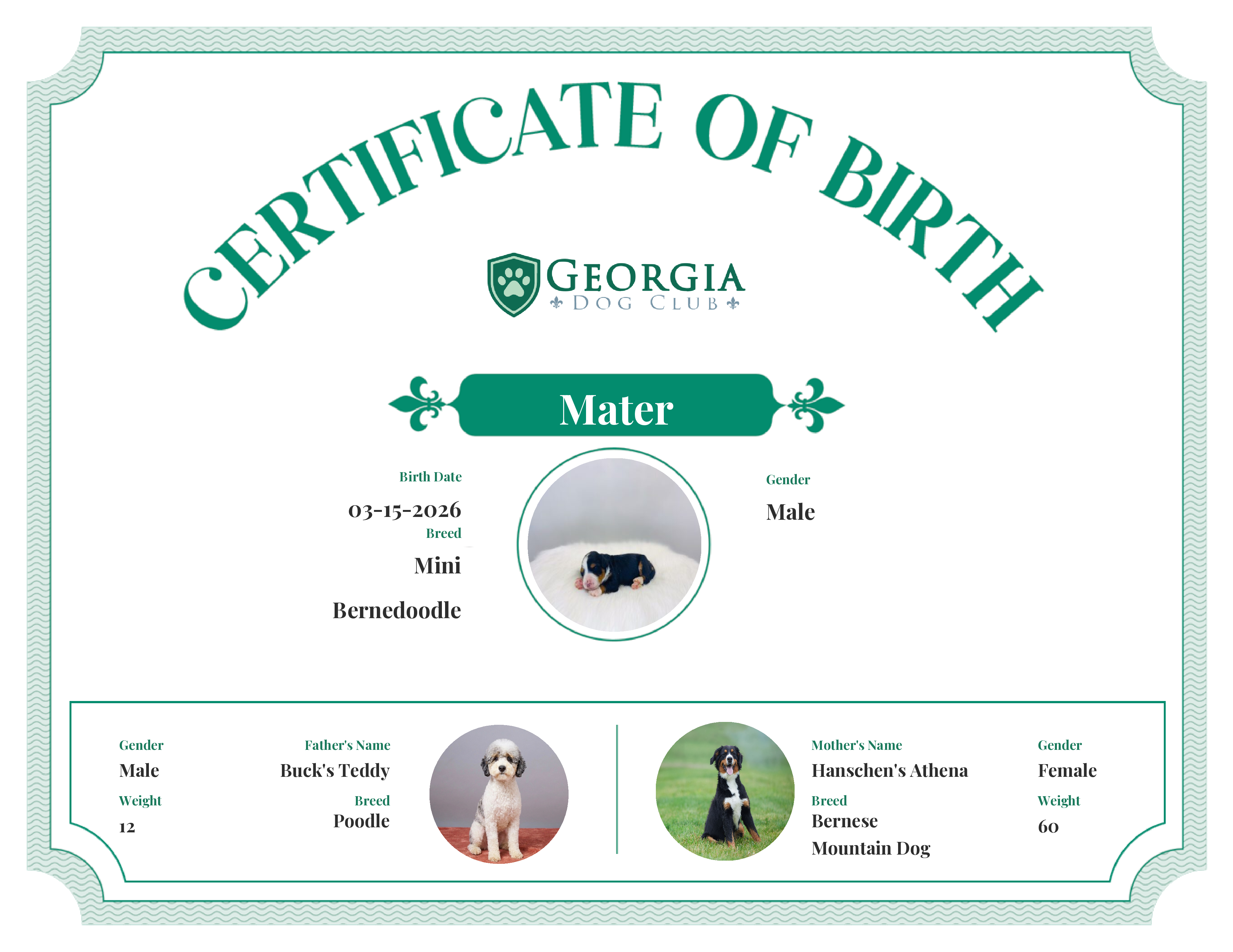 Mater's Birth Certificate