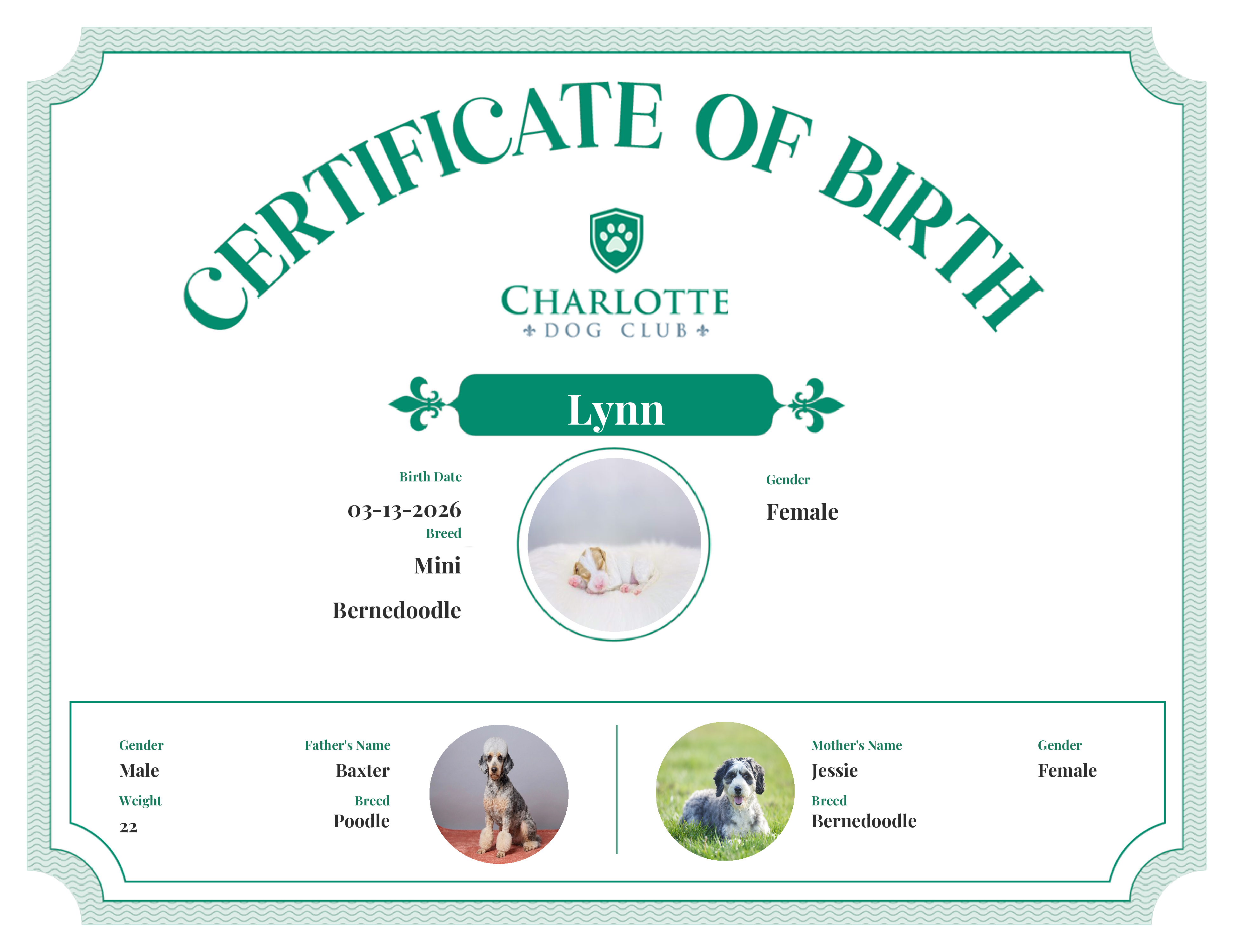 Lynn's Birth Certificate