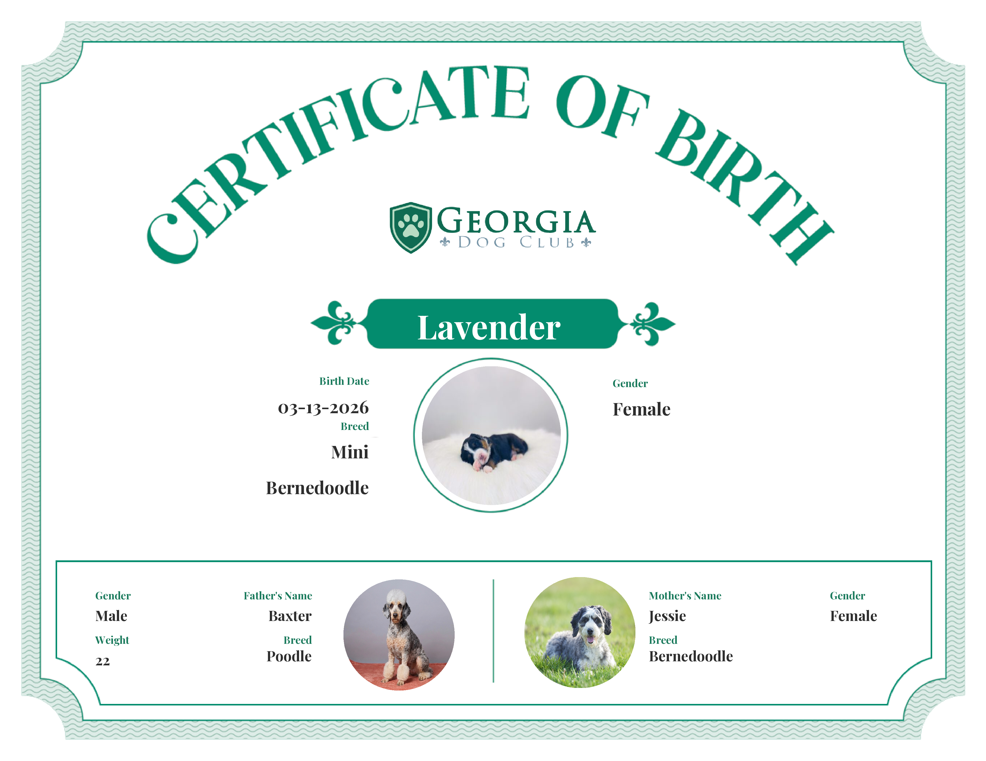 Lavender 's Birth Certificate