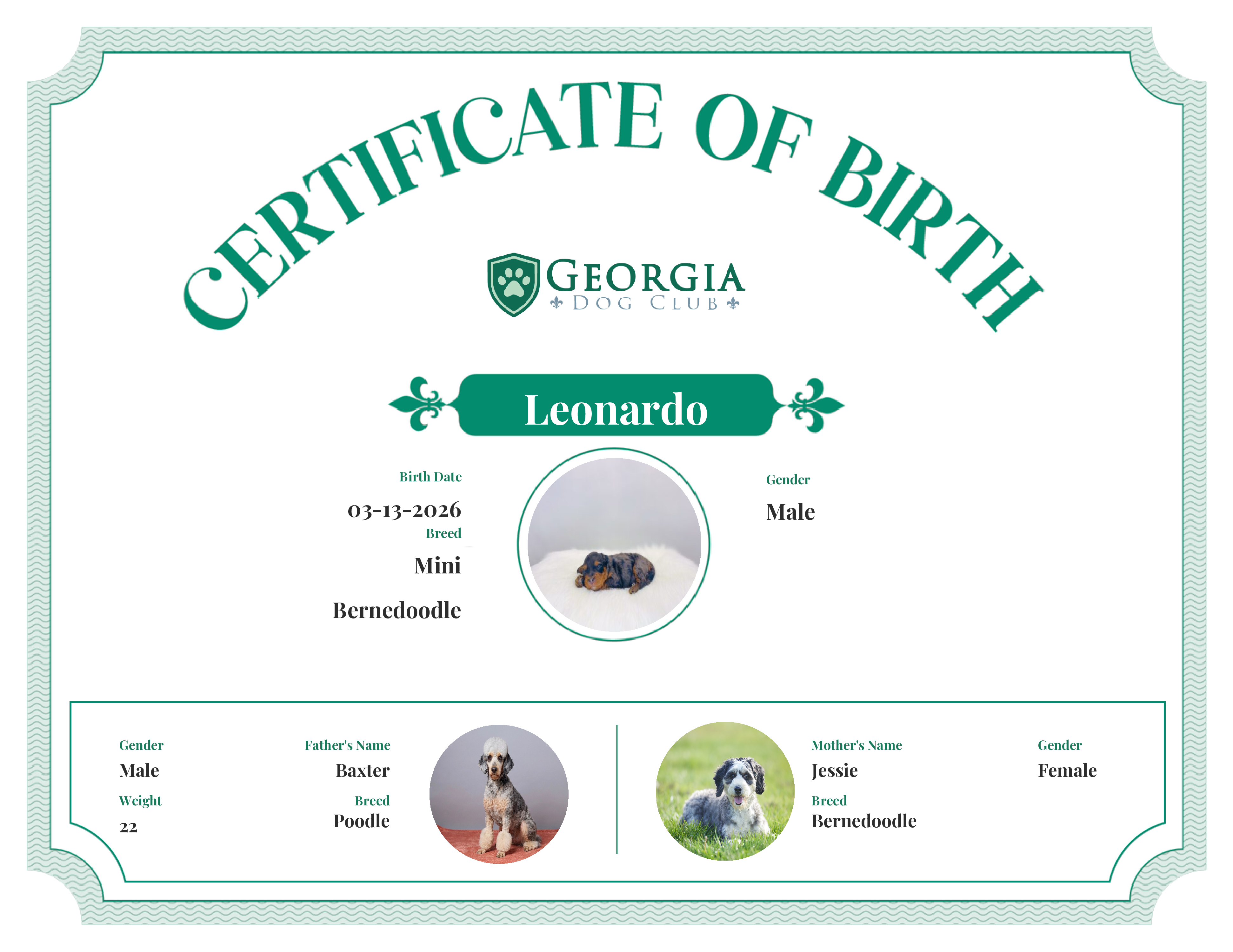 Leonardo's Birth Certificate