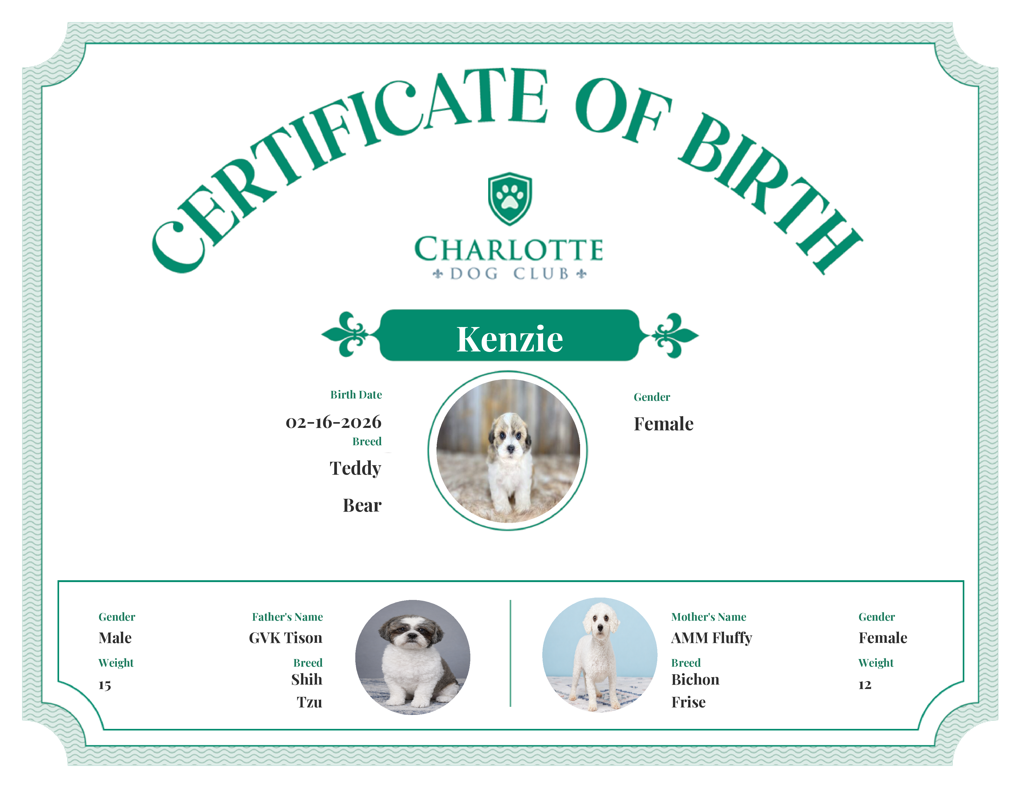 Kenzie's Birth Certificate