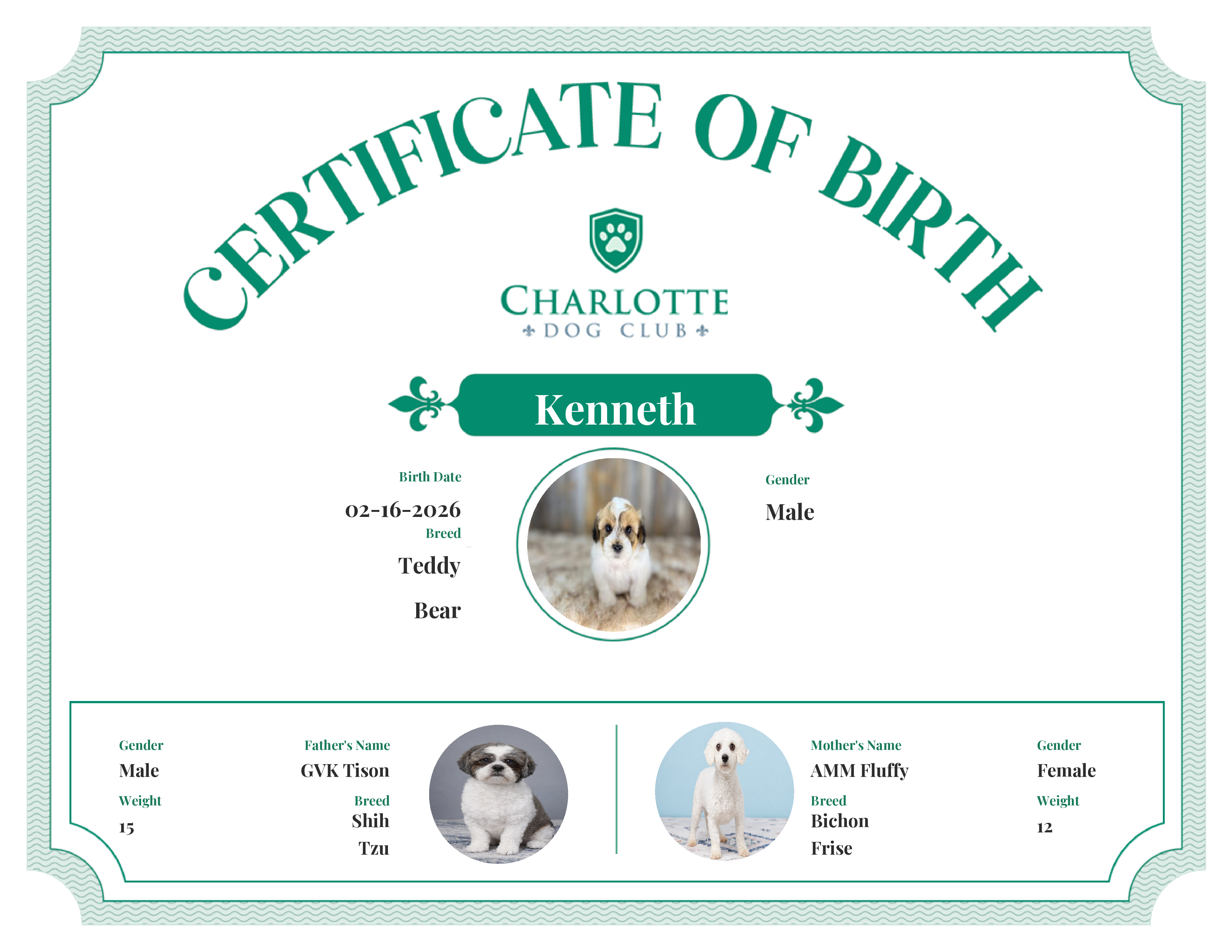 Kenneth's Birth Certificate