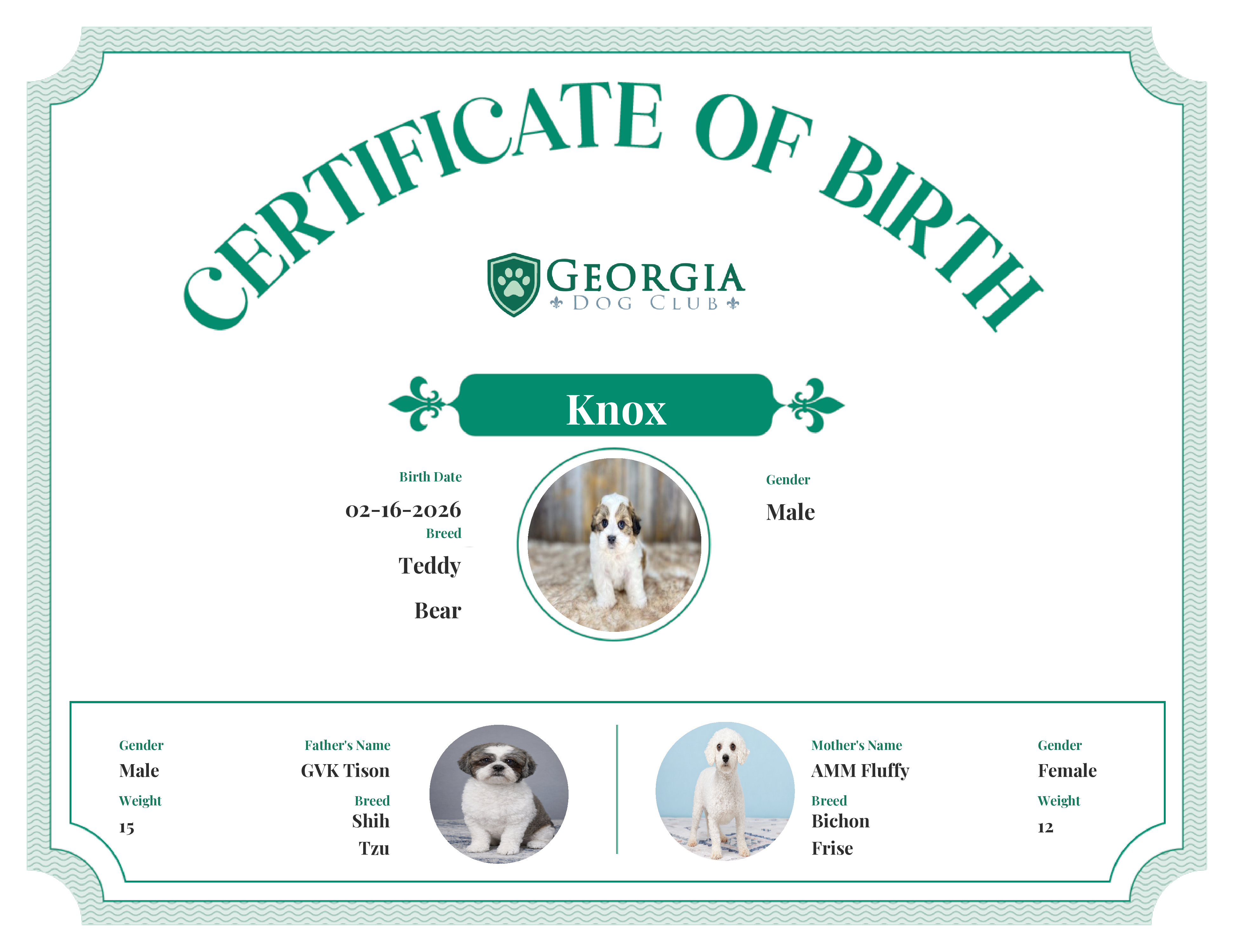Knox's Birth Certificate