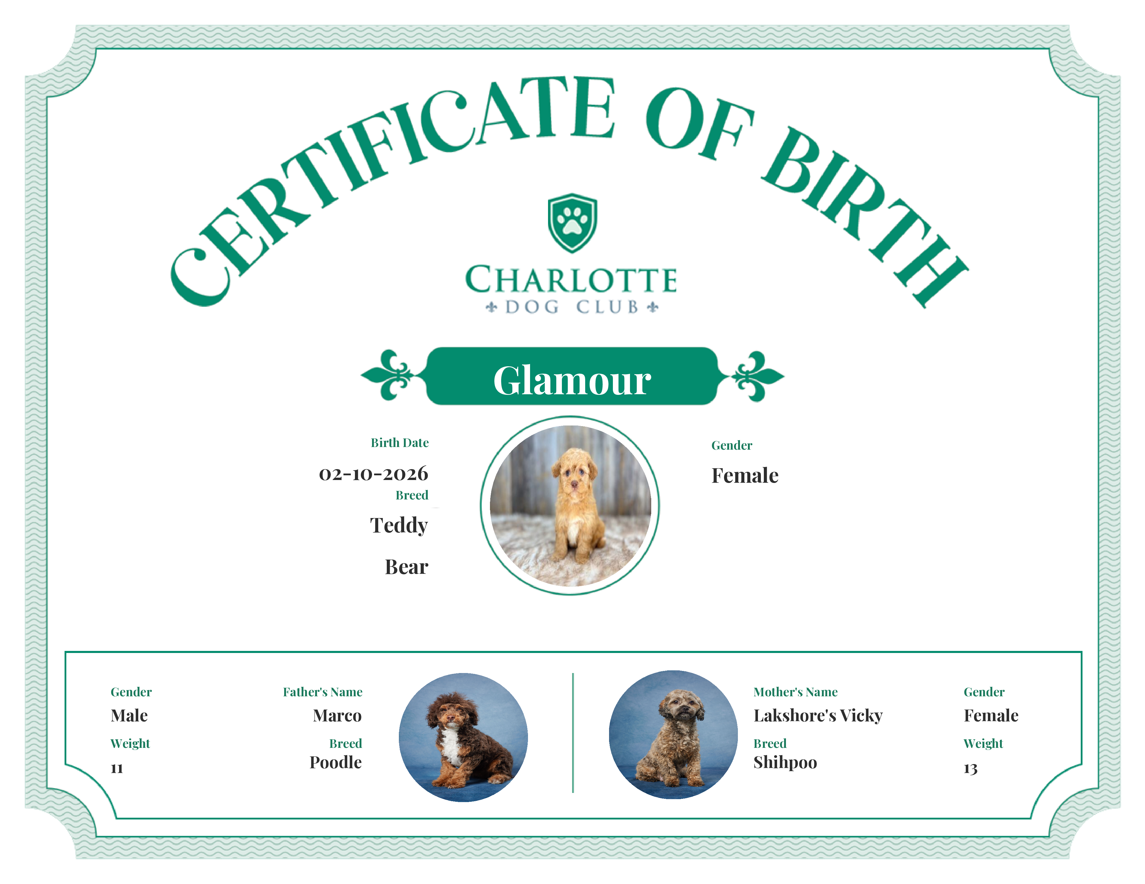 Glamour's Birth Certificate