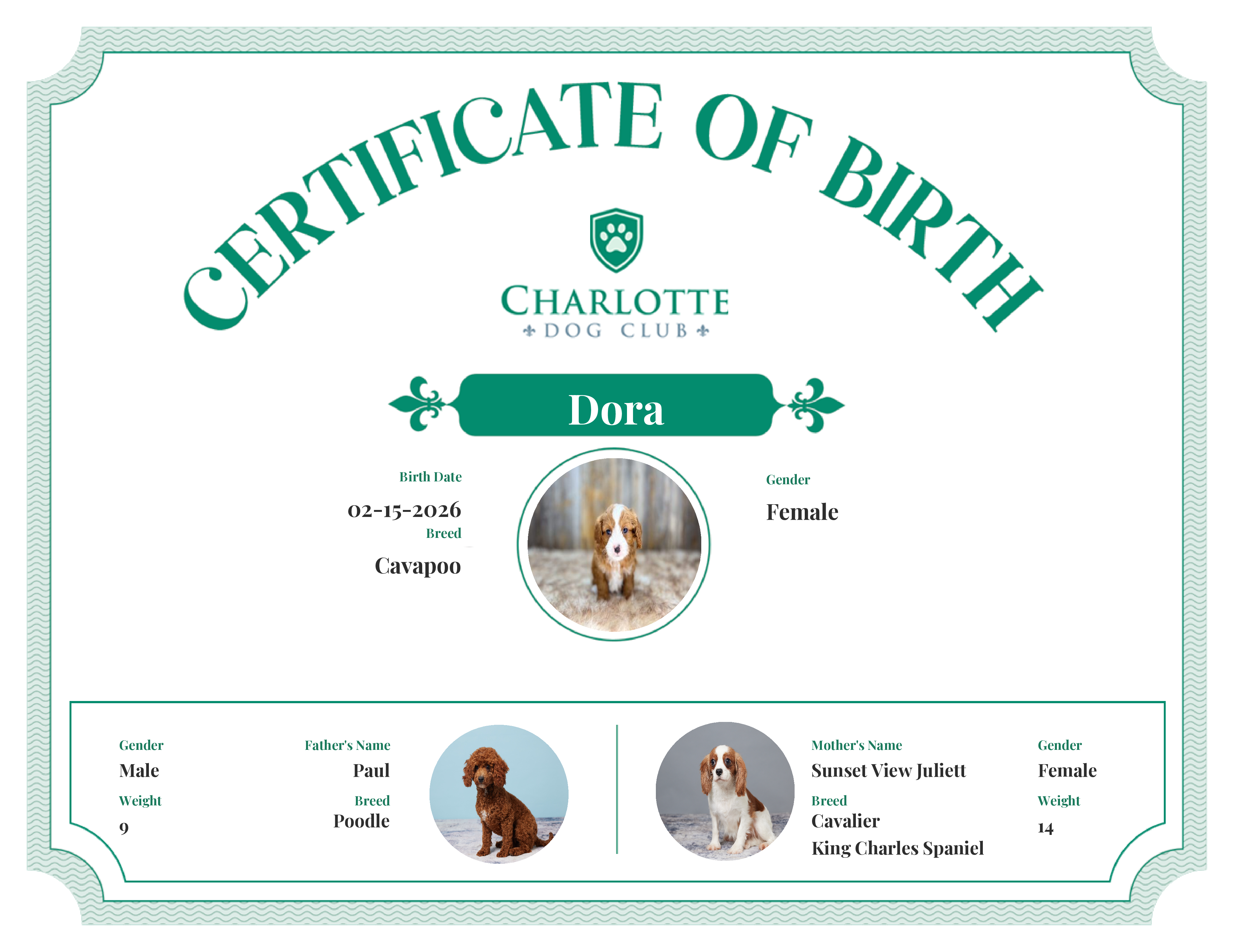 Dora's Birth Certificate