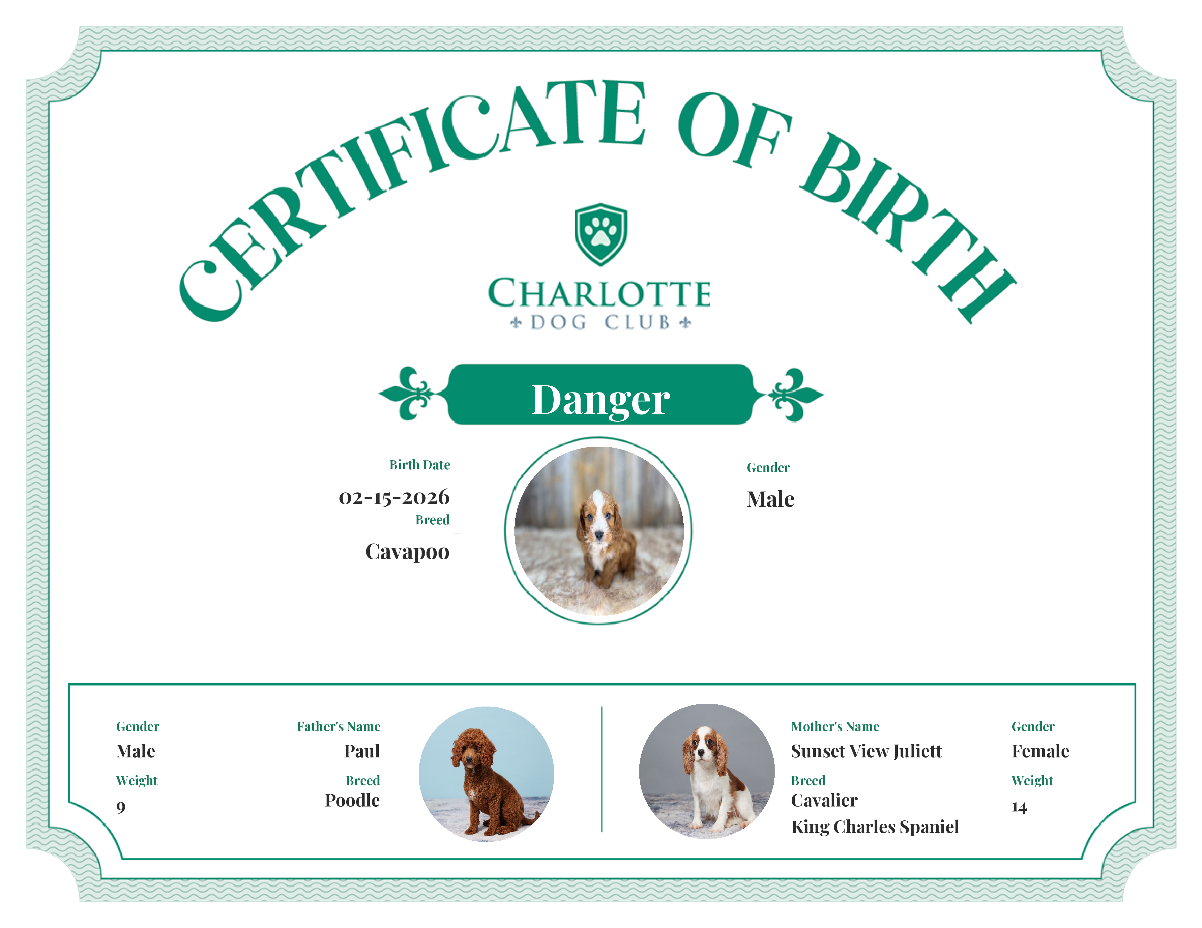 Danger's Birth Certificate