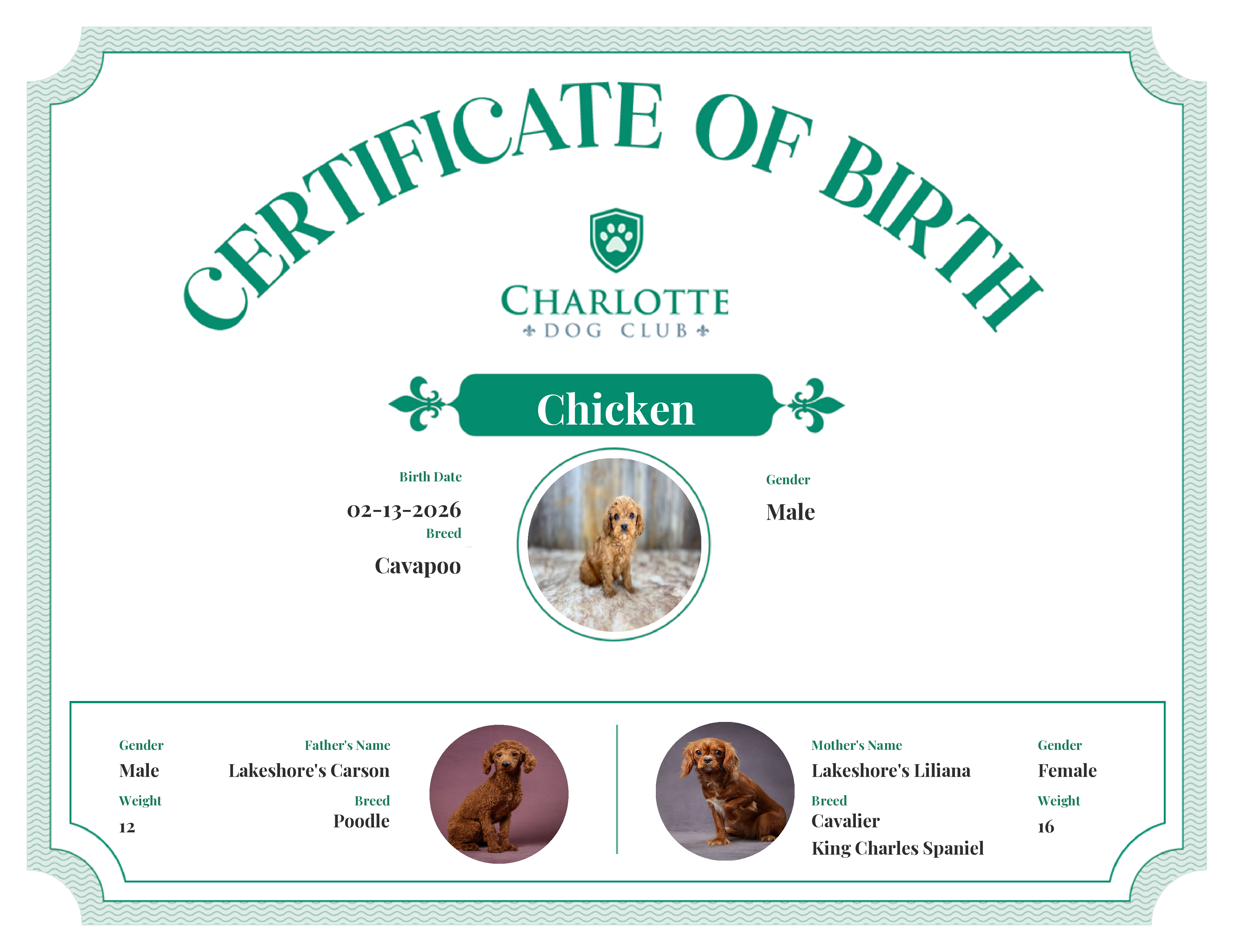 Chicken's Birth Certificate