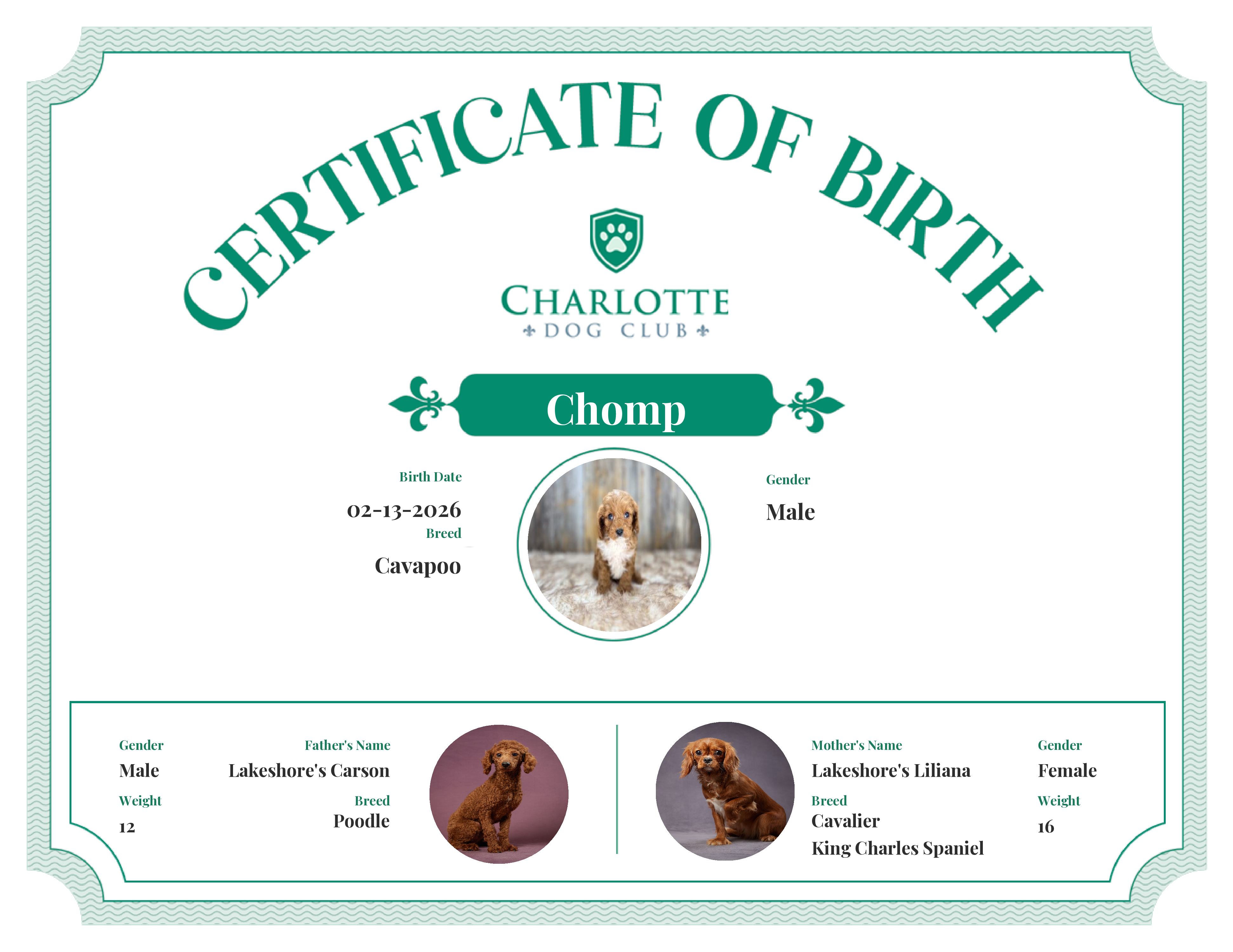 Chomp's Birth Certificate