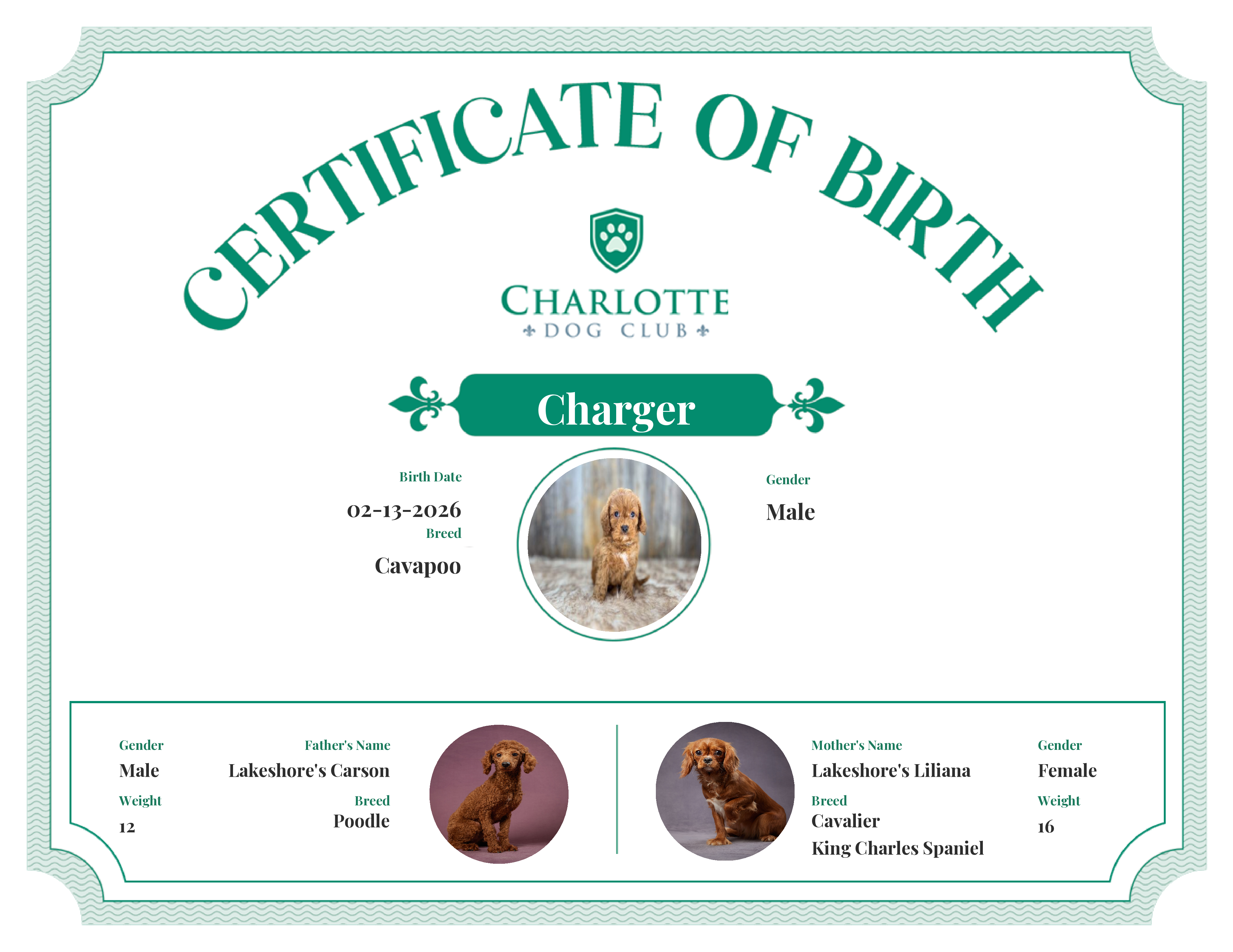 Charger's Birth Certificate