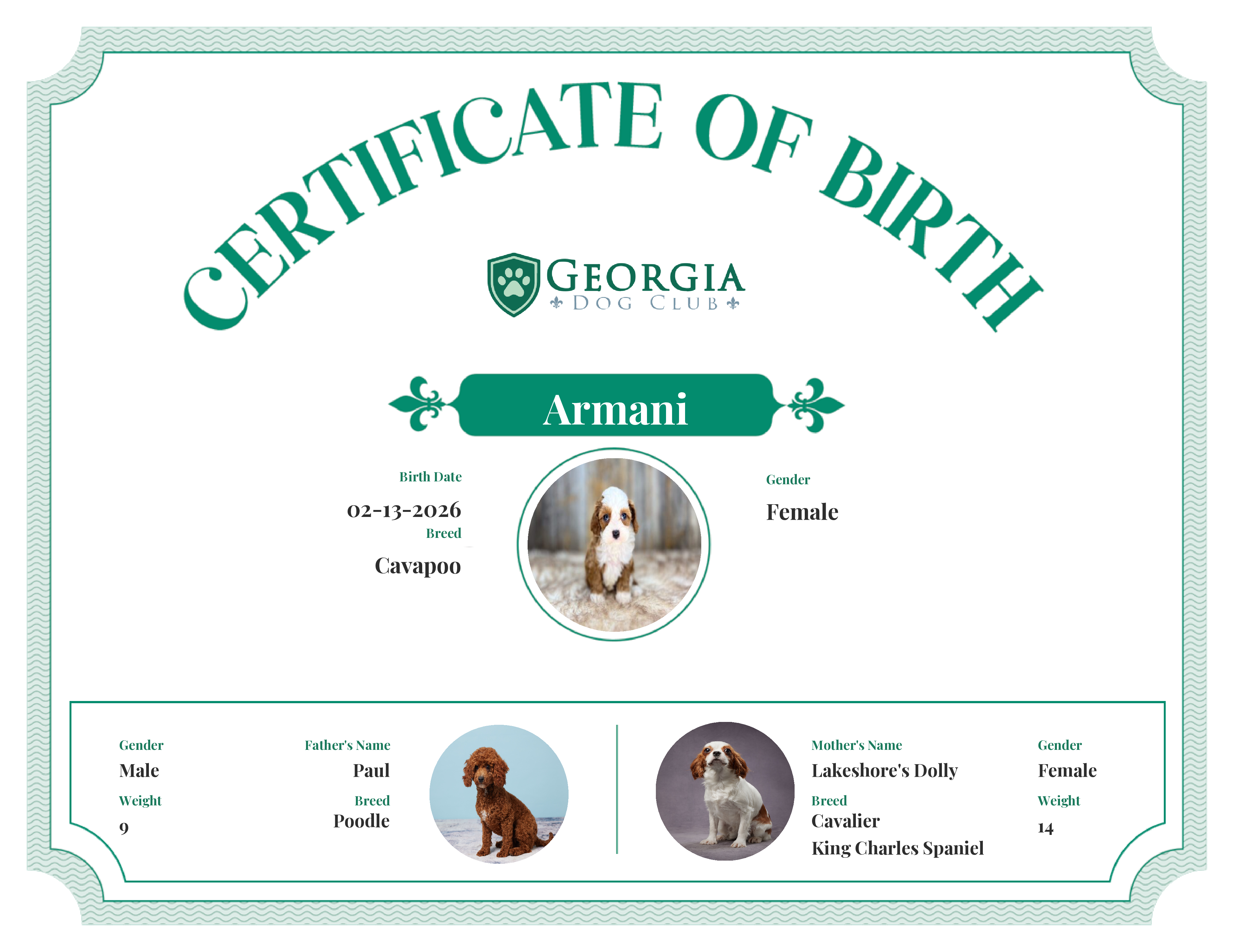 Armani's Birth Certificate