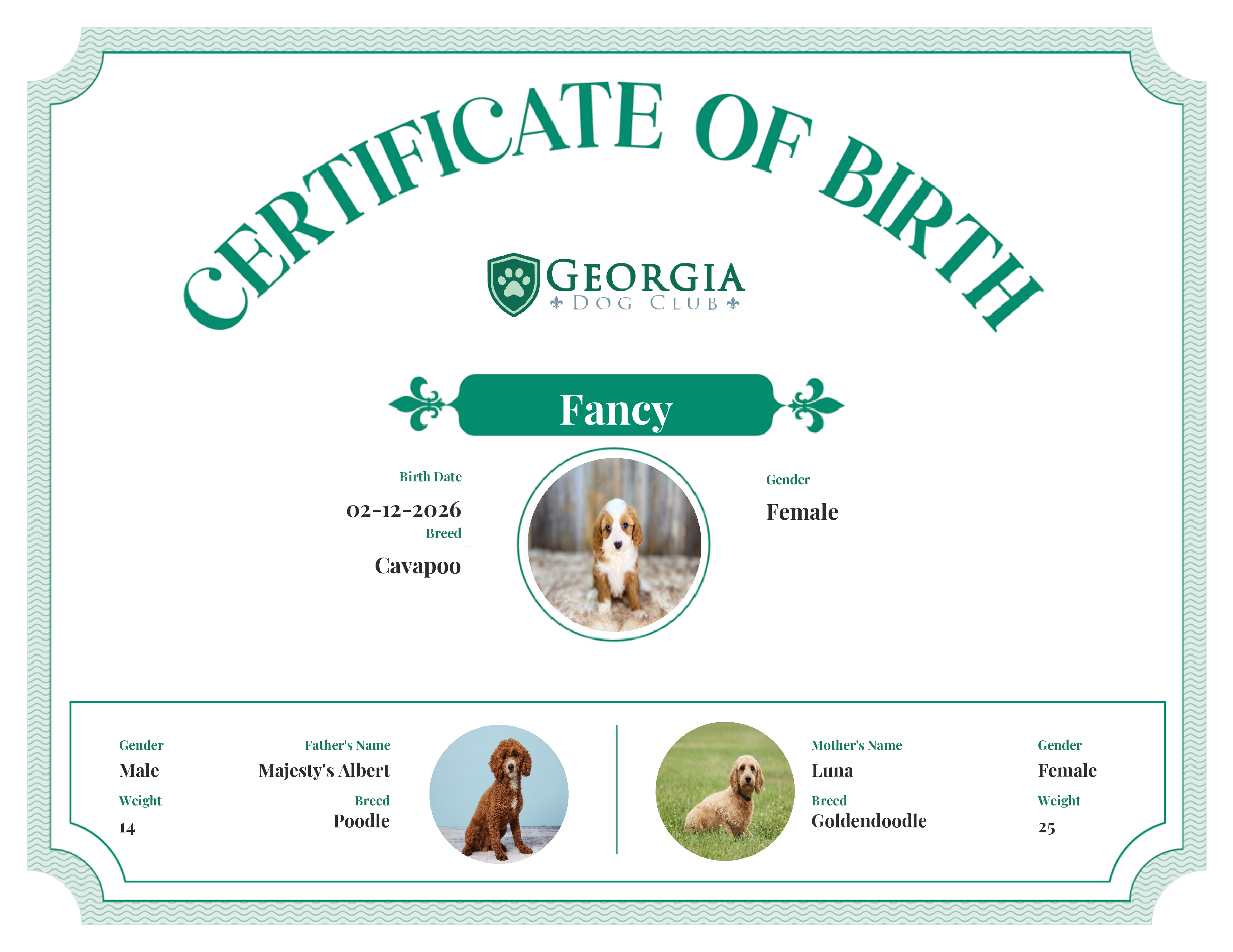 Fancy's Birth Certificate