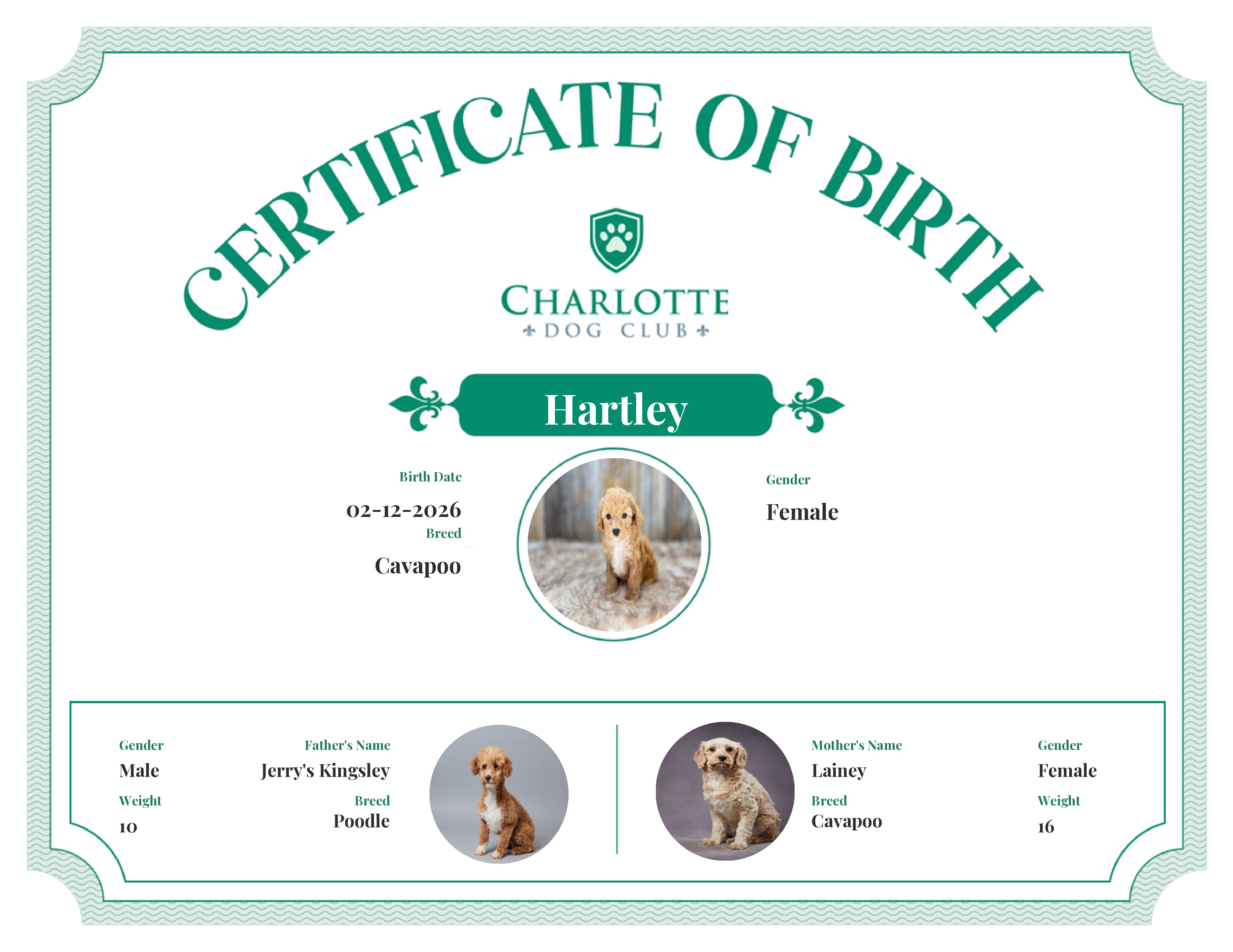 Hartley's Birth Certificate
