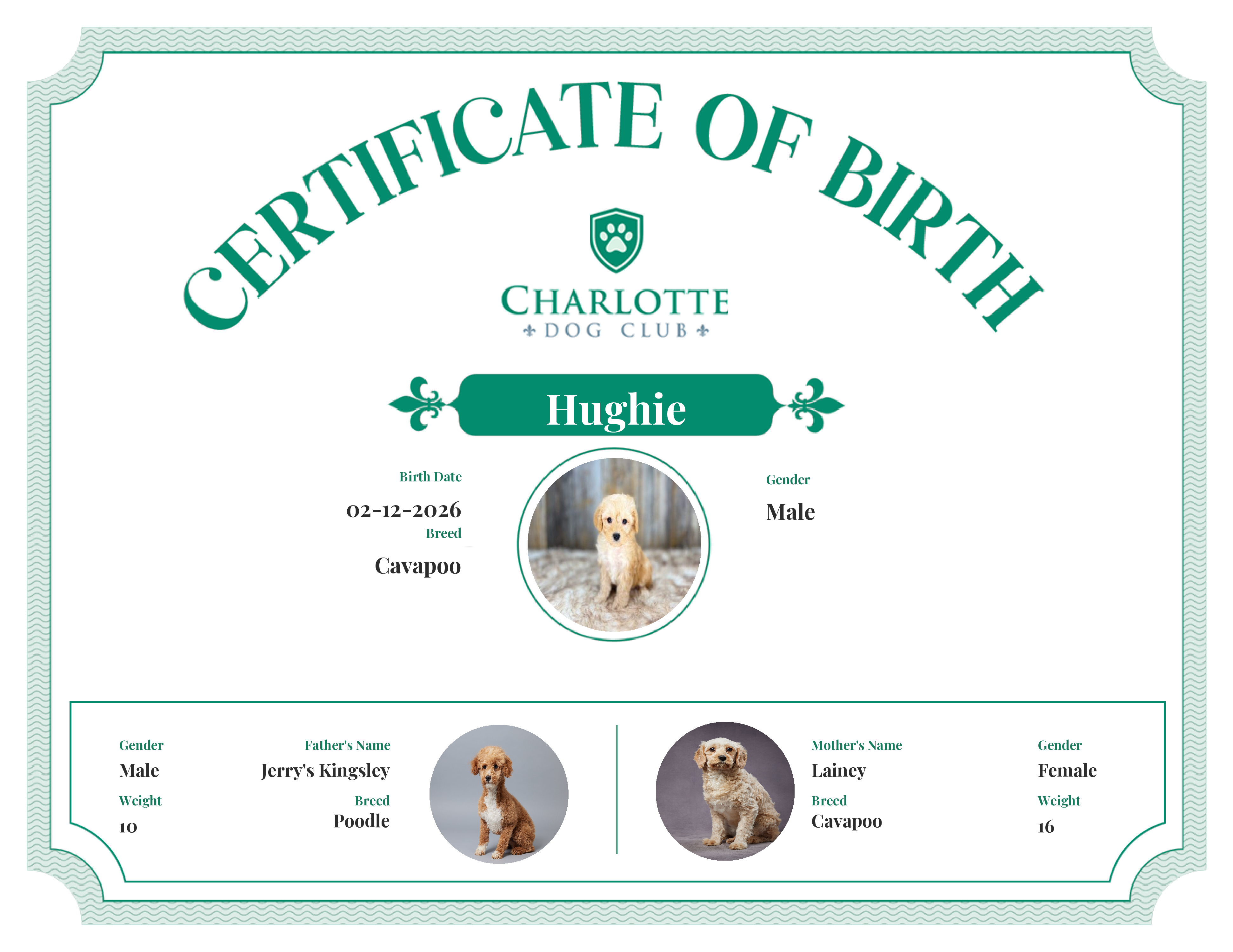 Hughie's Birth Certificate