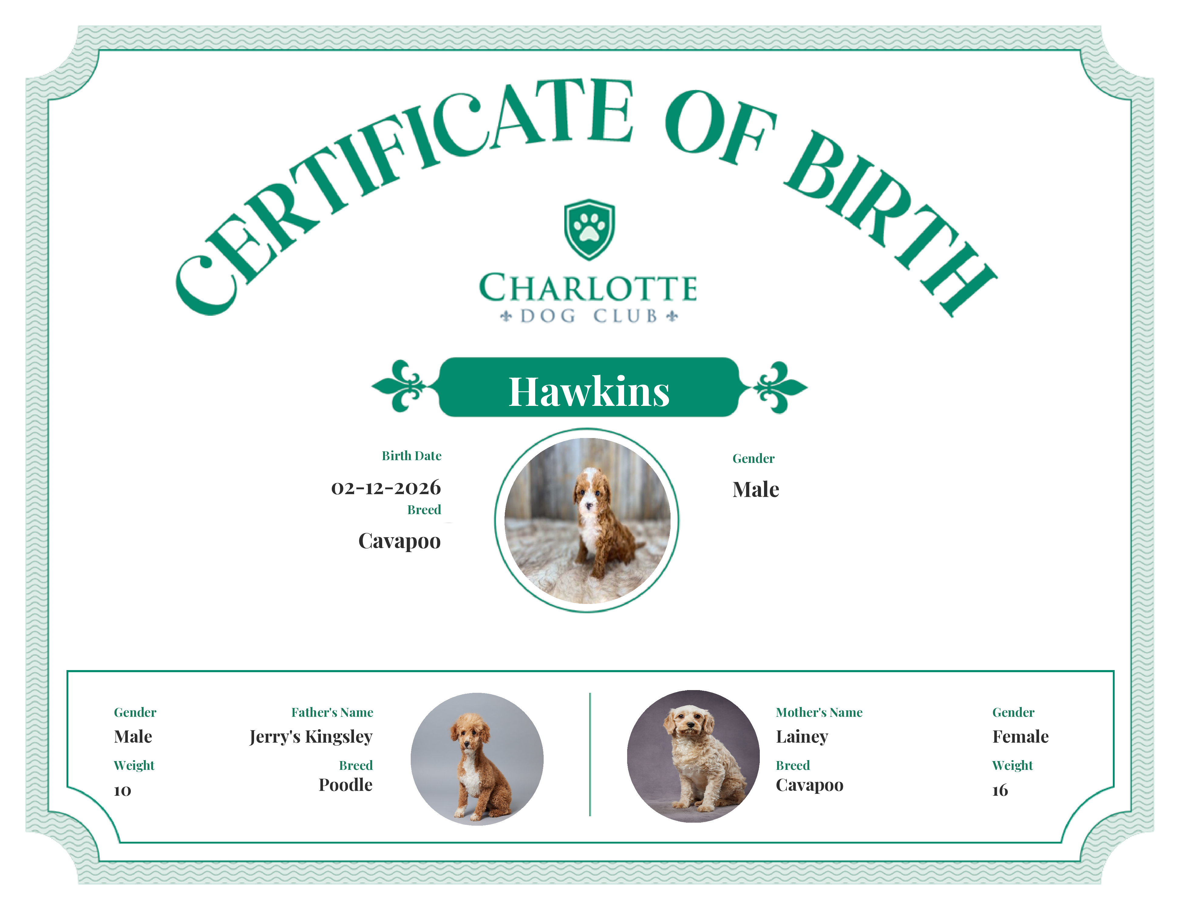 Hawkins's Birth Certificate