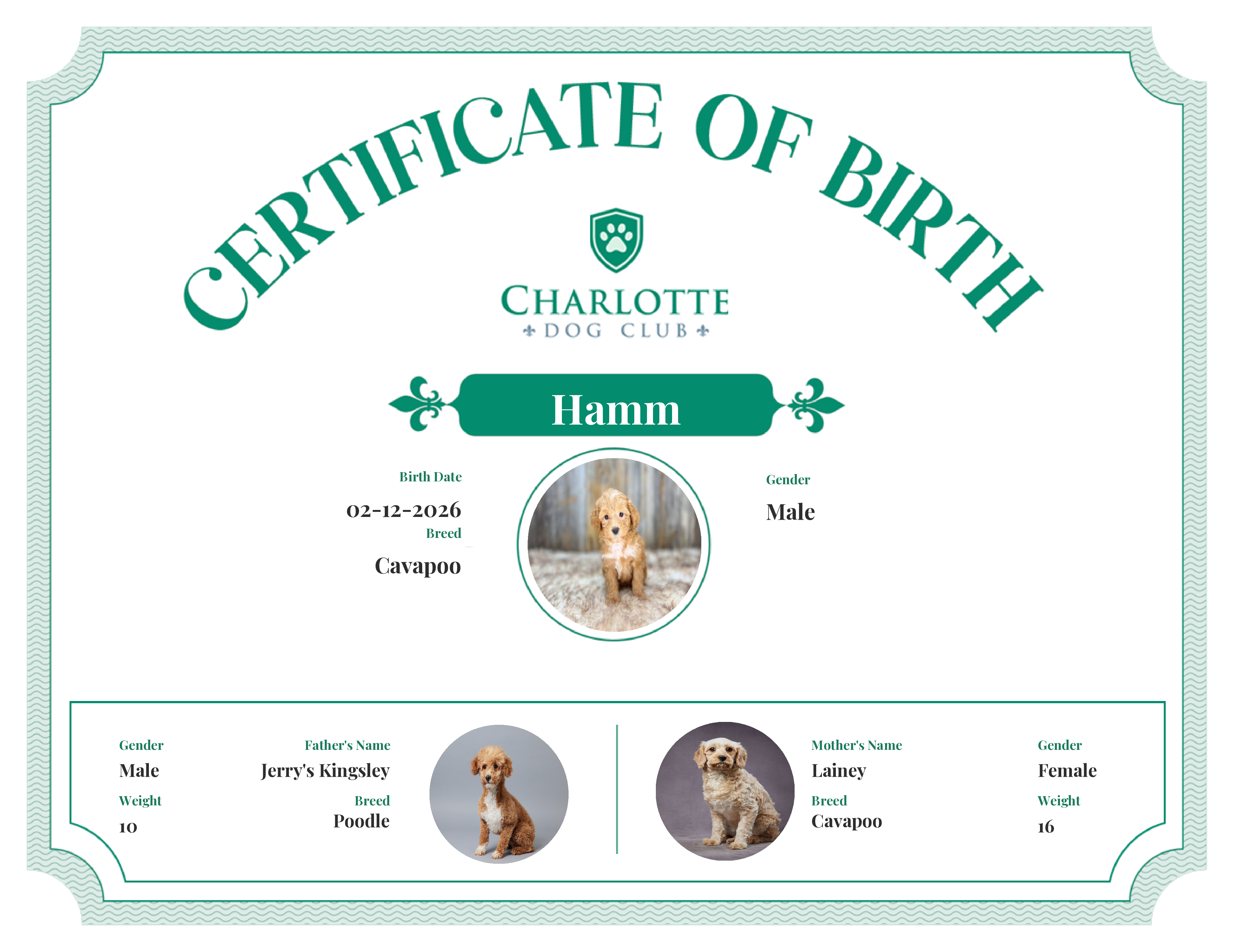 Hamm's Birth Certificate