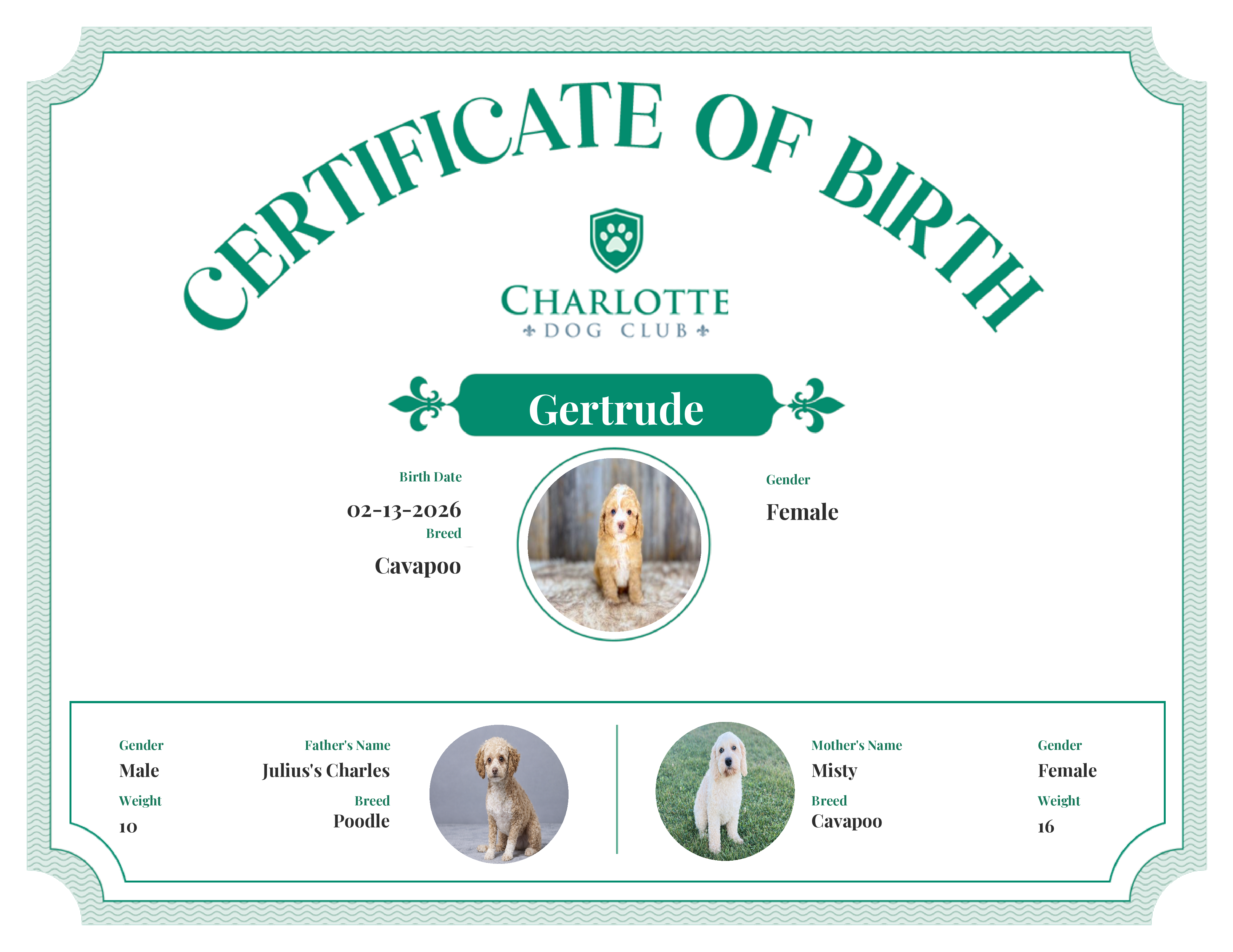 Gertrude's Birth Certificate