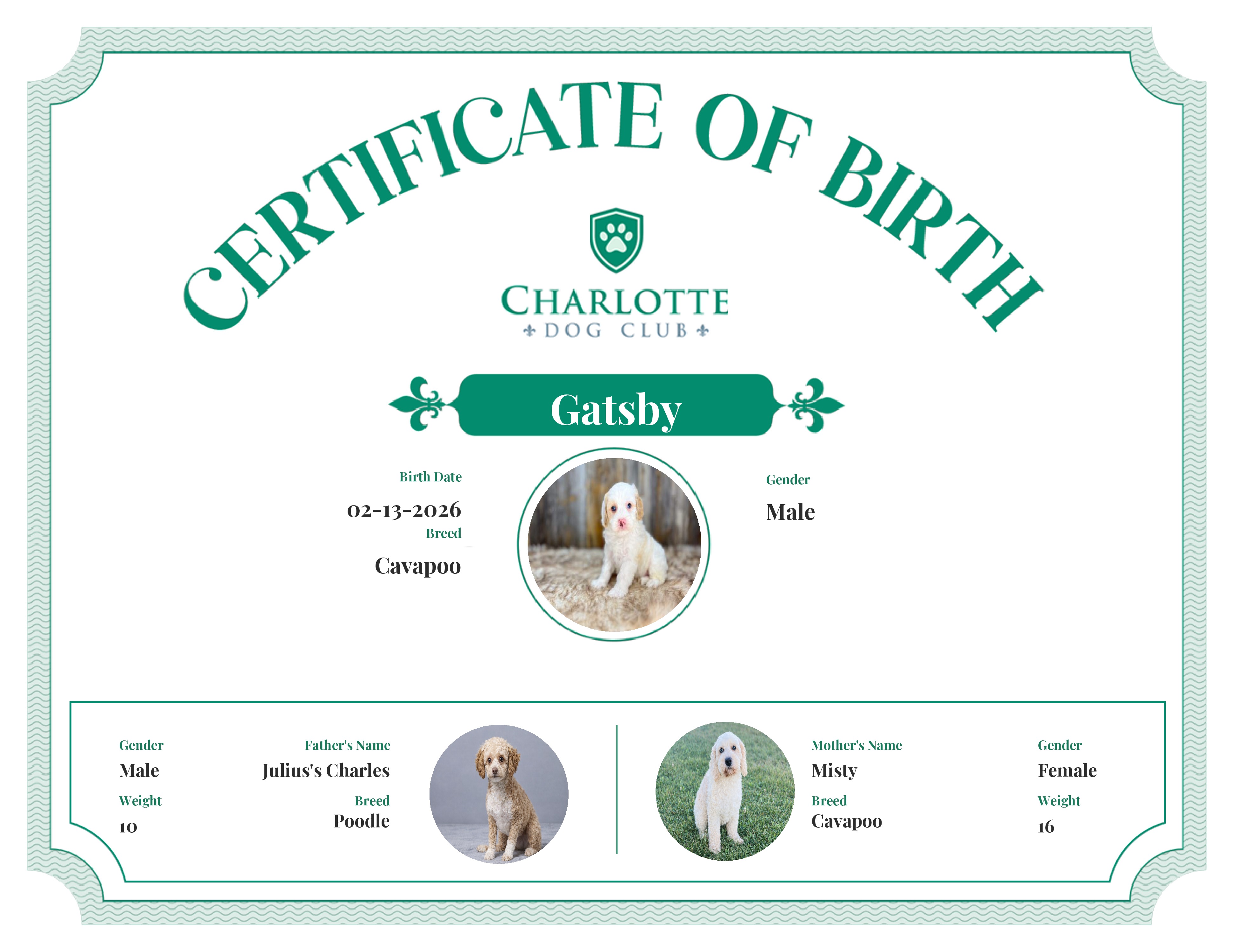 Gatsby's Birth Certificate
