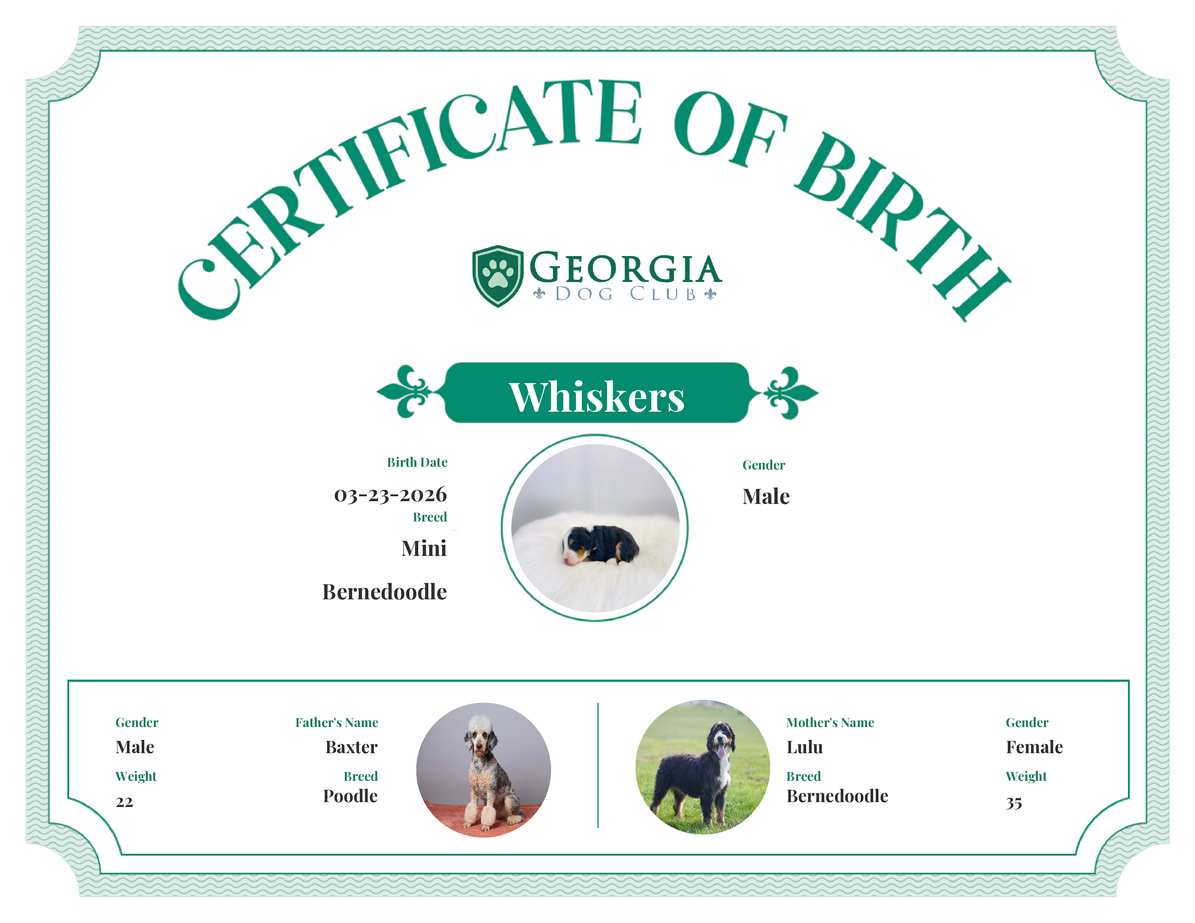 Whiskers's Birth Certificate