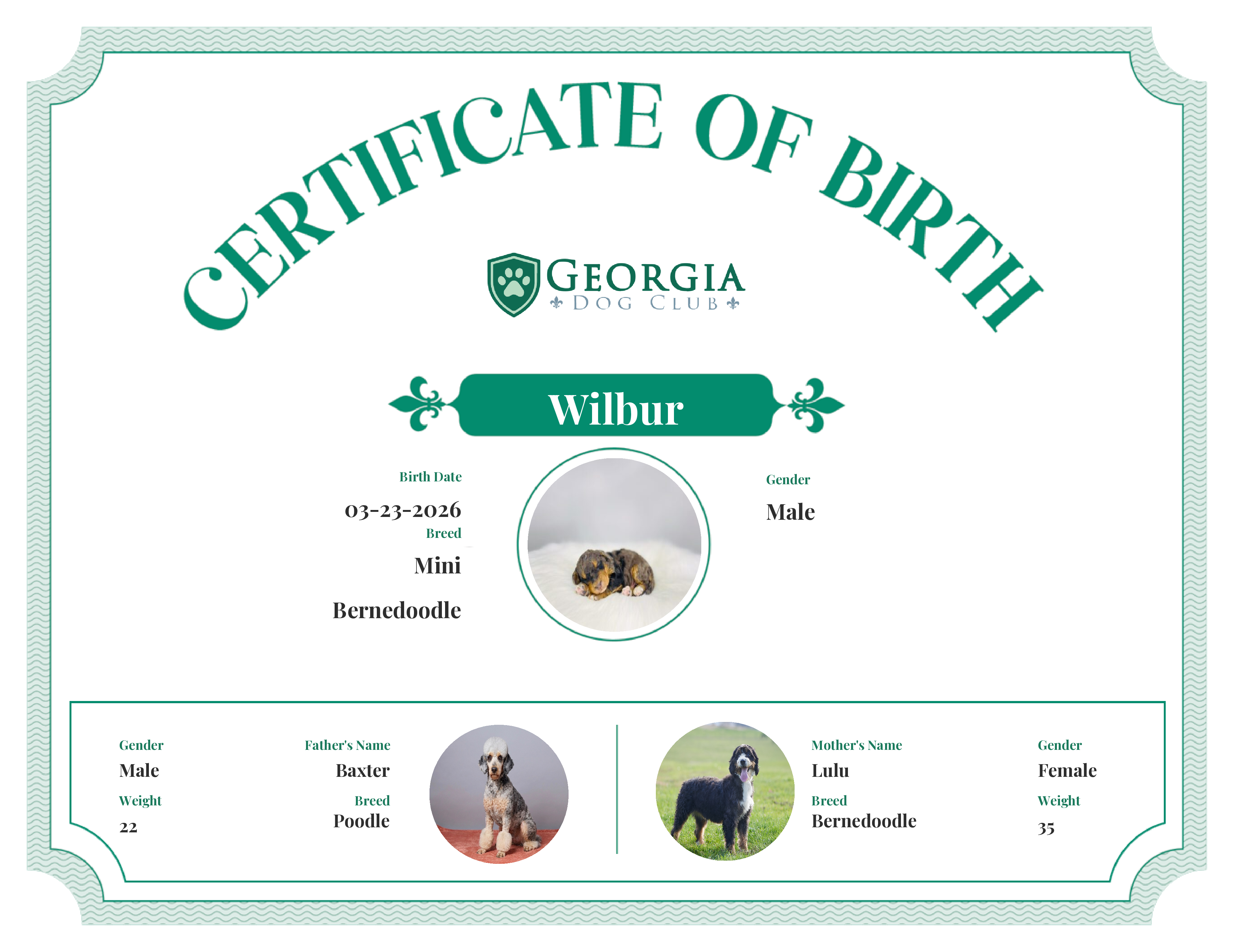 Wilbur's Birth Certificate