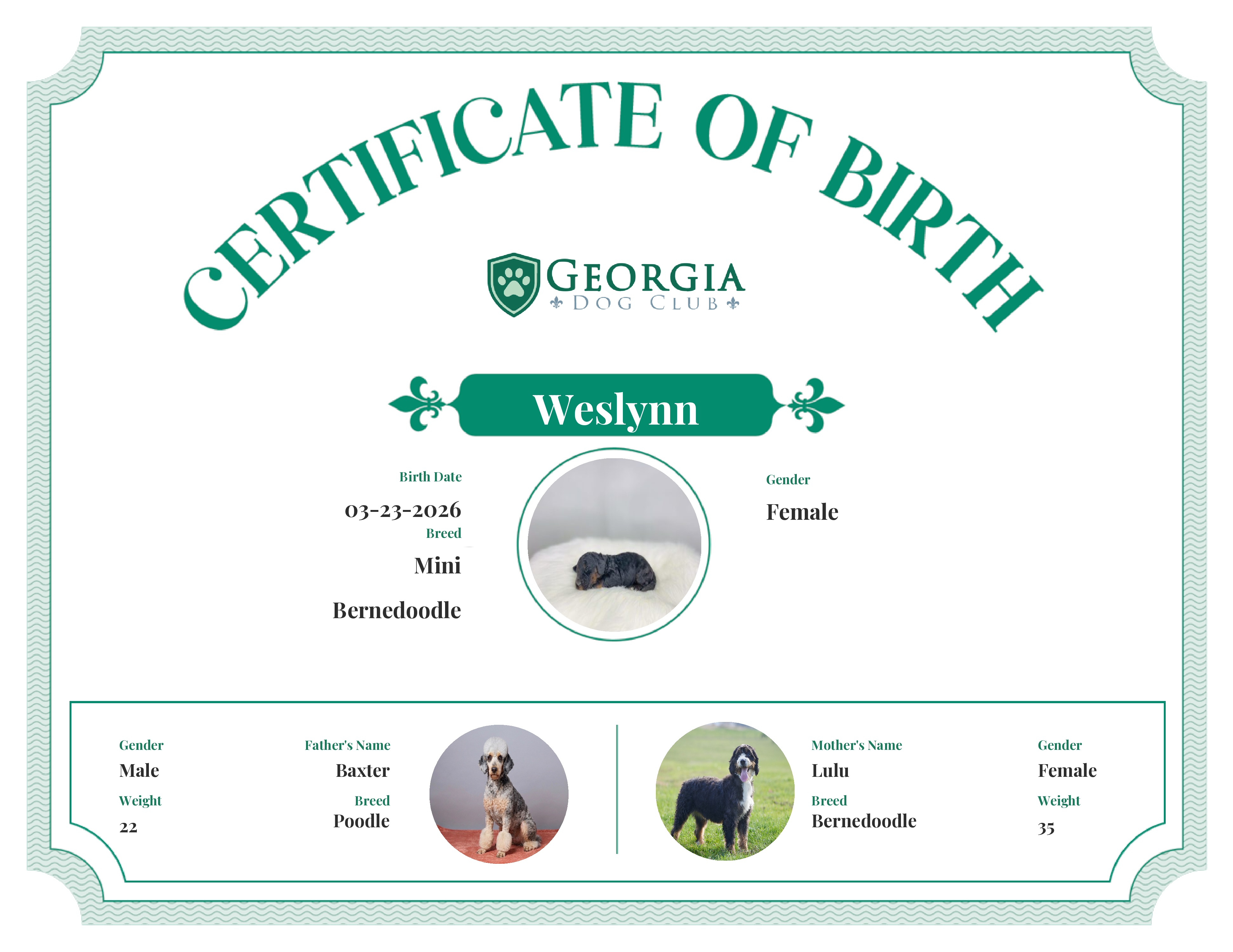Weslynn's Birth Certificate