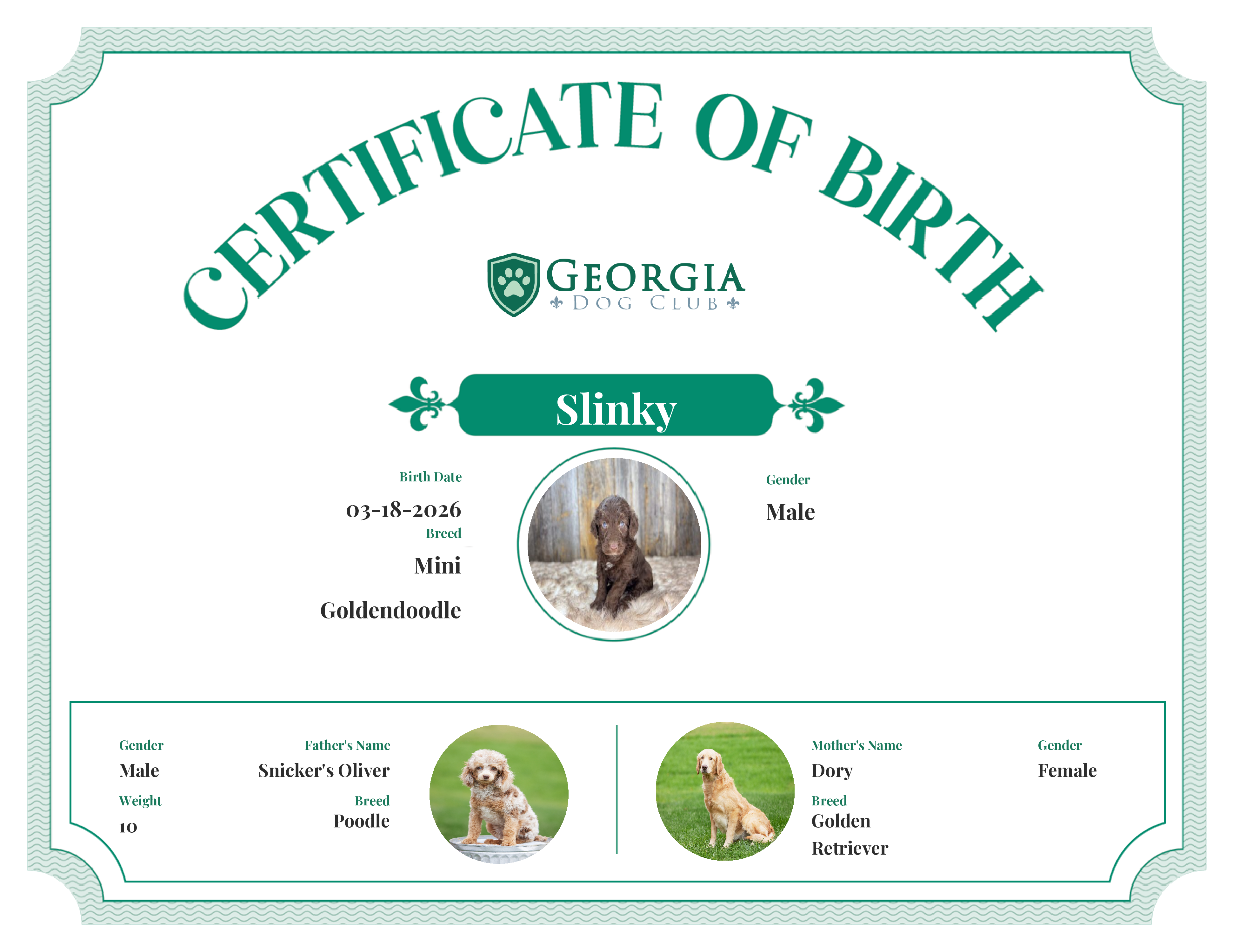 Slinky's Birth Certificate