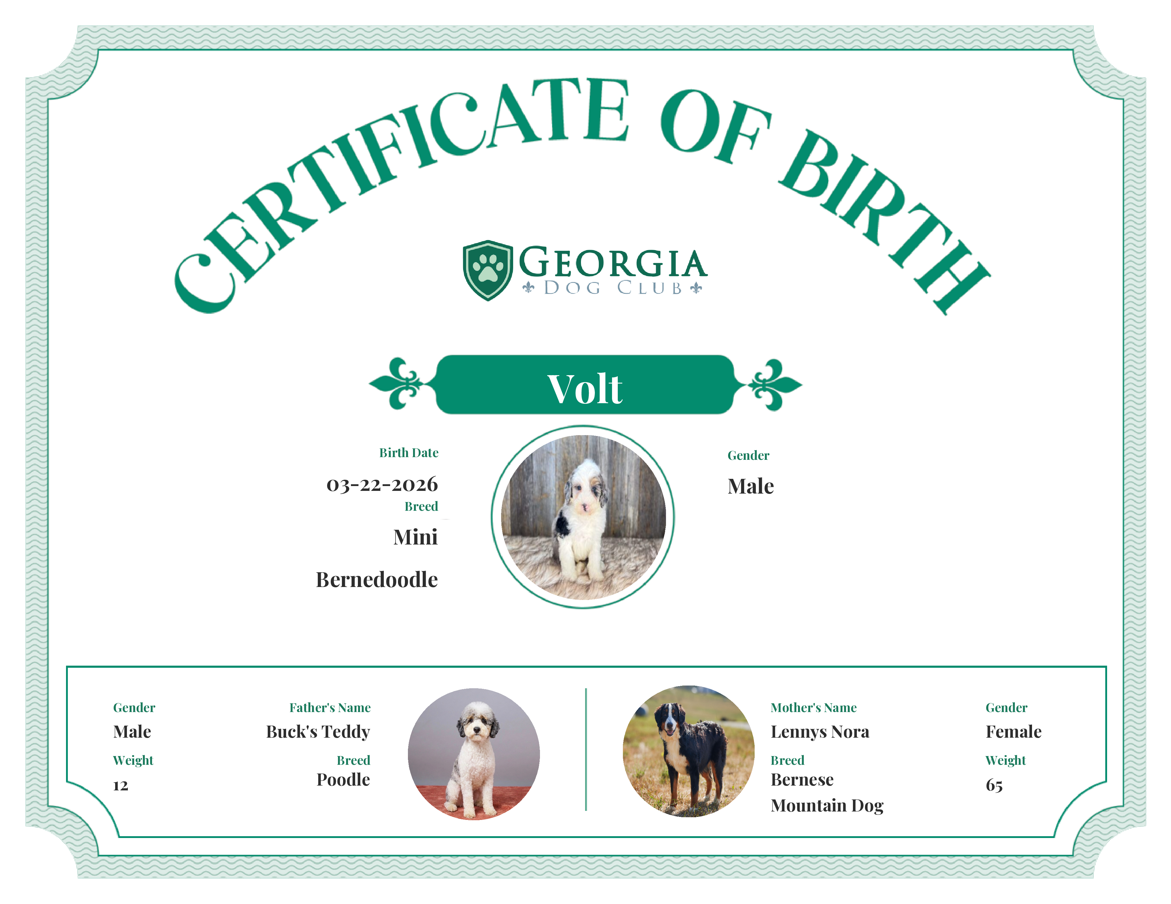 Volt's Birth Certificate