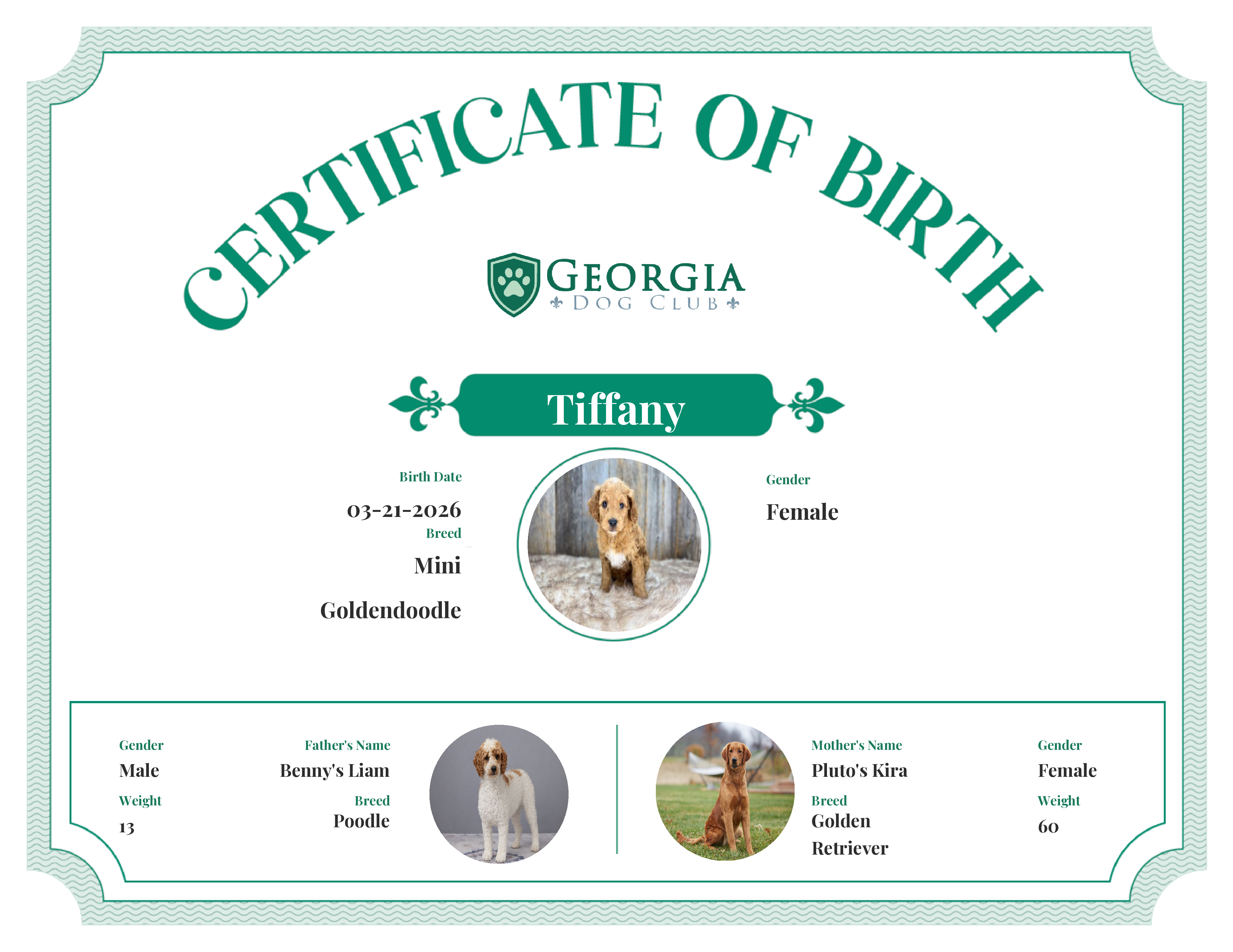 Tiffany's Birth Certificate