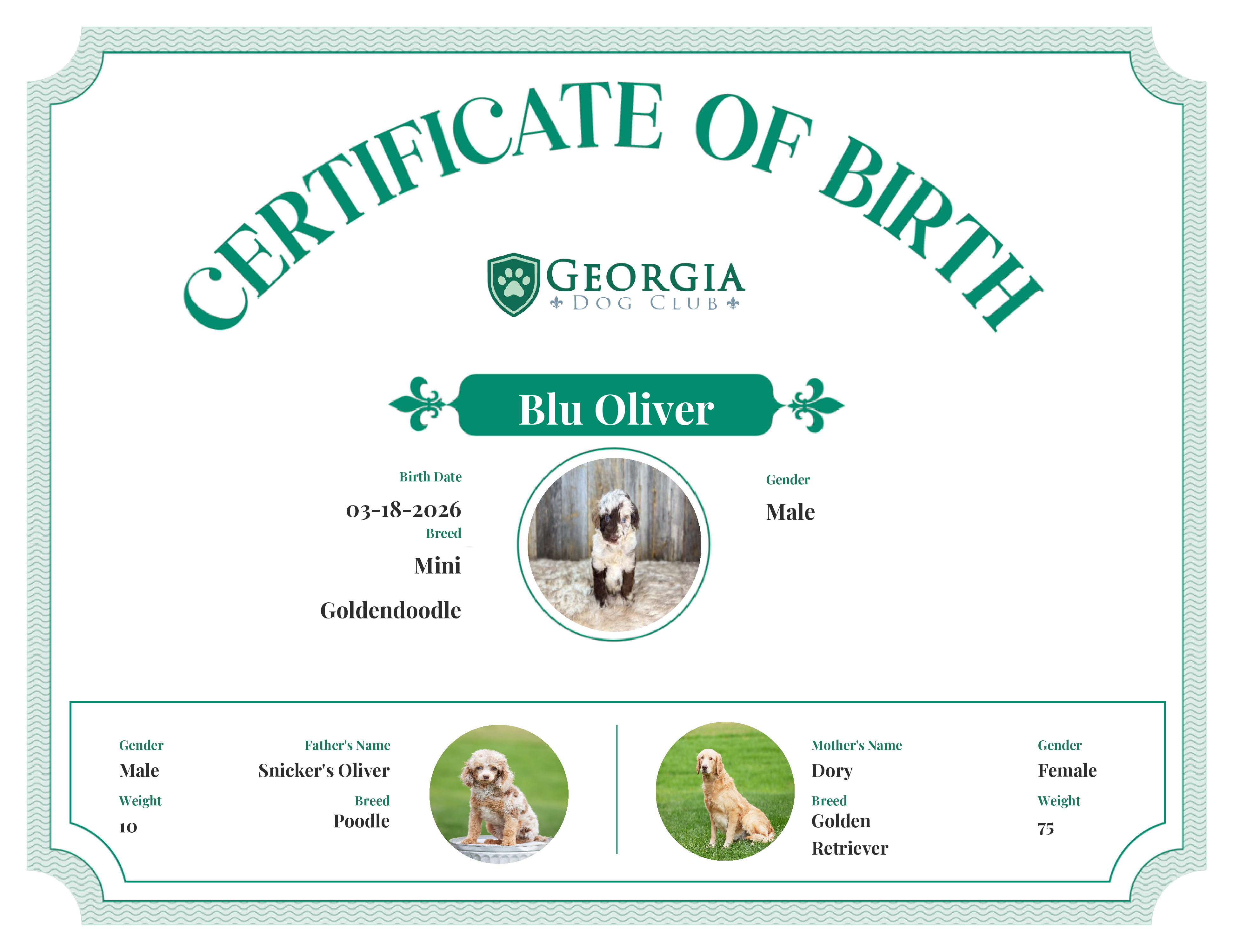 Scrat's Birth Certificate