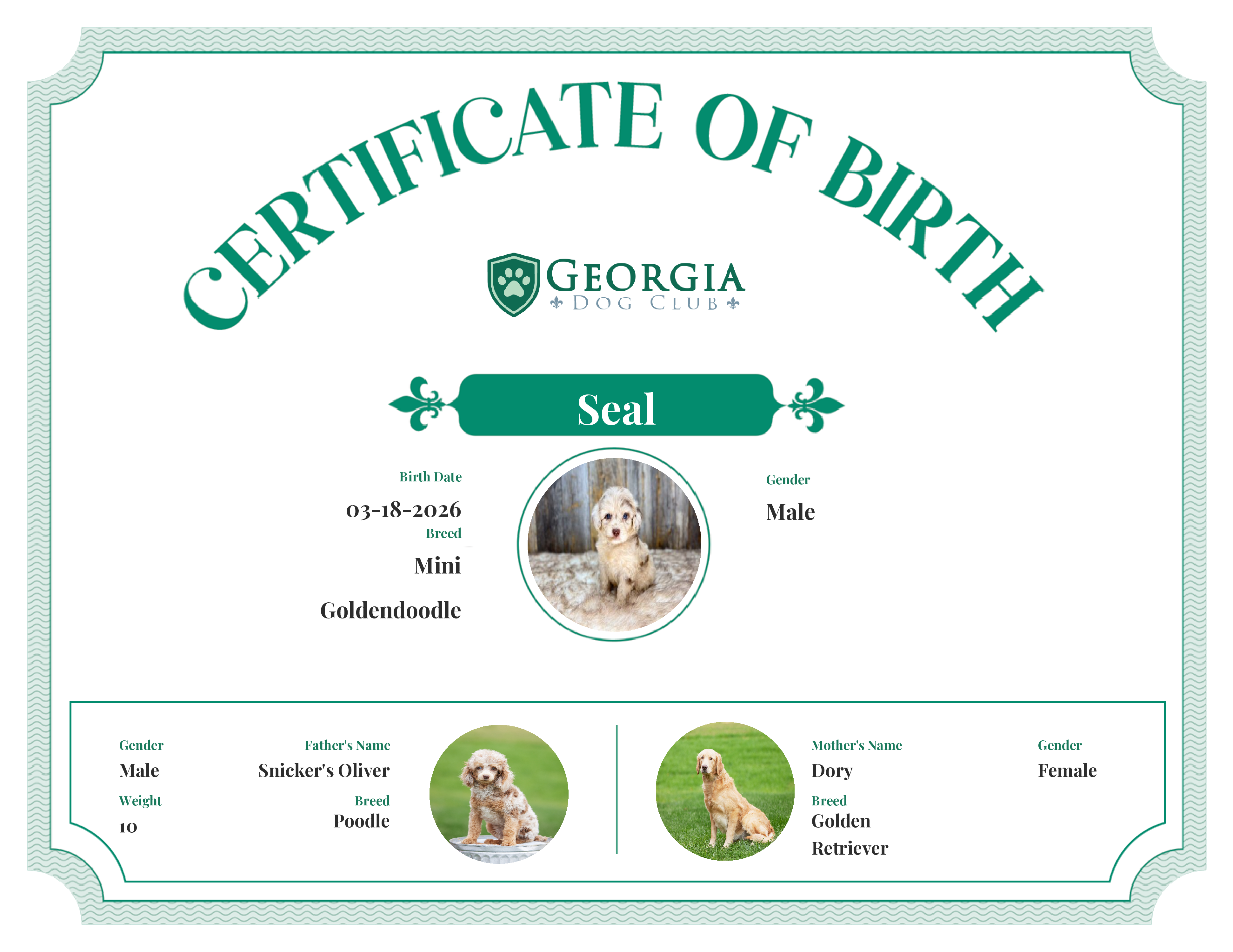 Seal's Birth Certificate