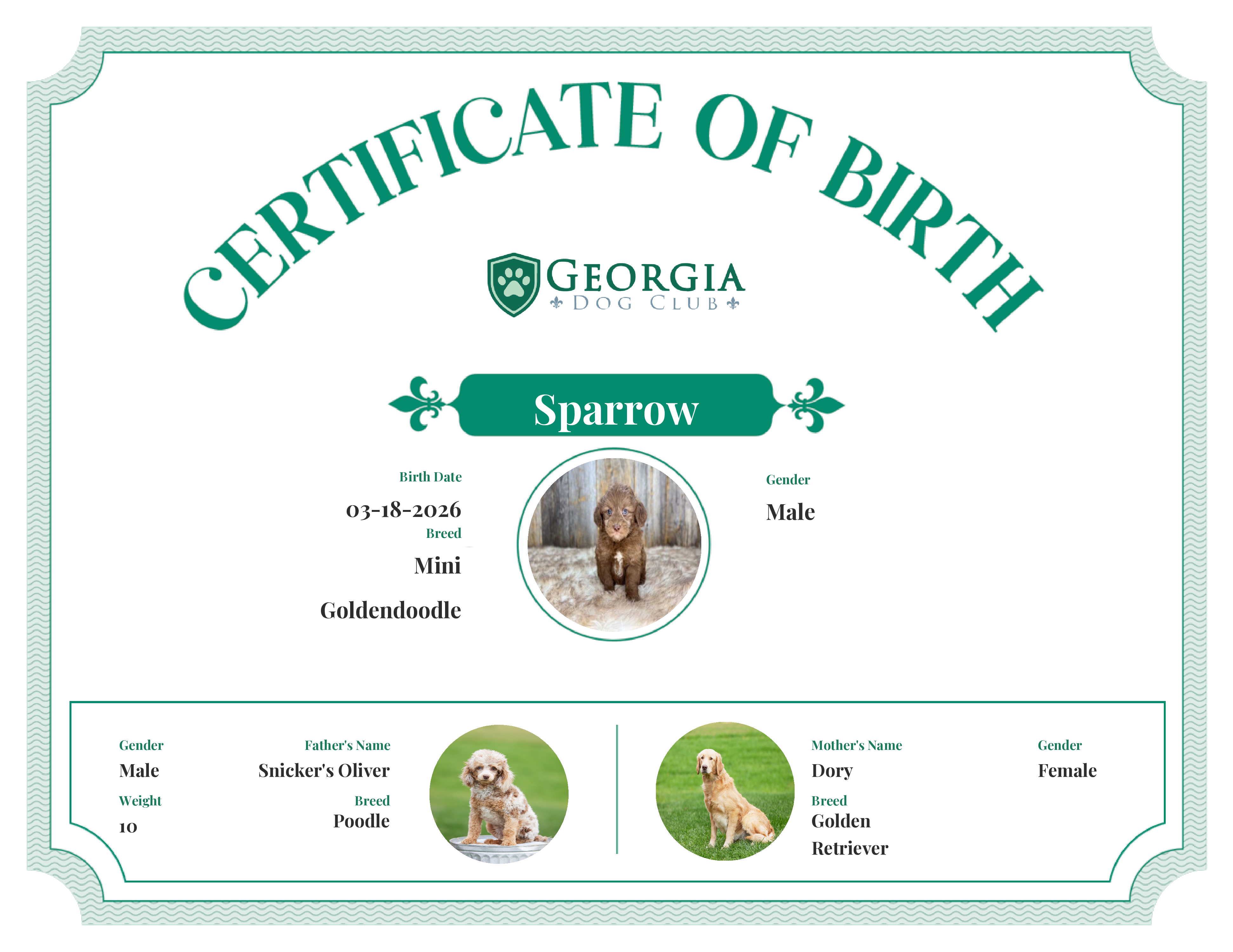 Sparrow's Birth Certificate